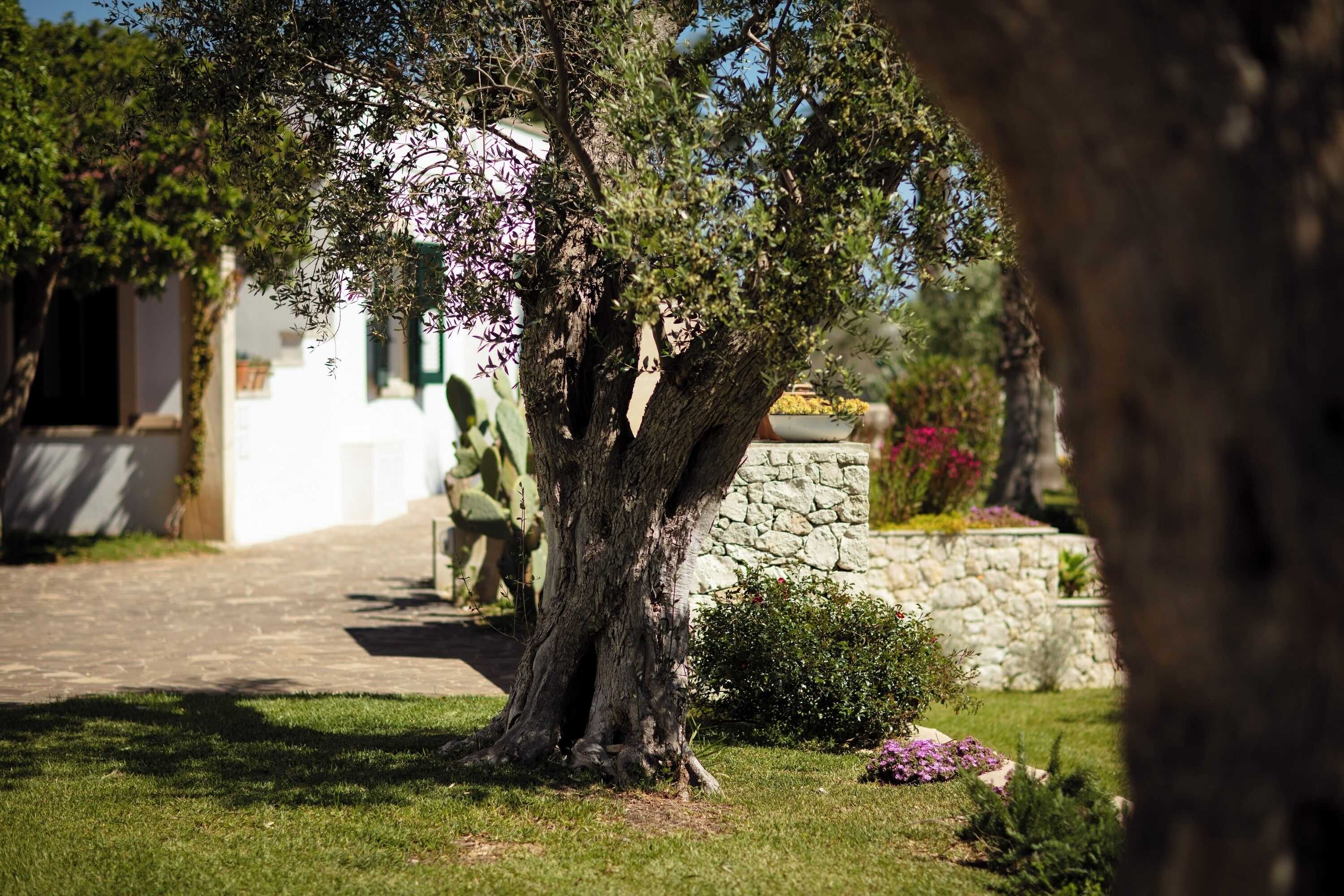 Gift card for Borgo Mulino a Vento - Resort Gift card for Borgo Mulino a Vento - Resort