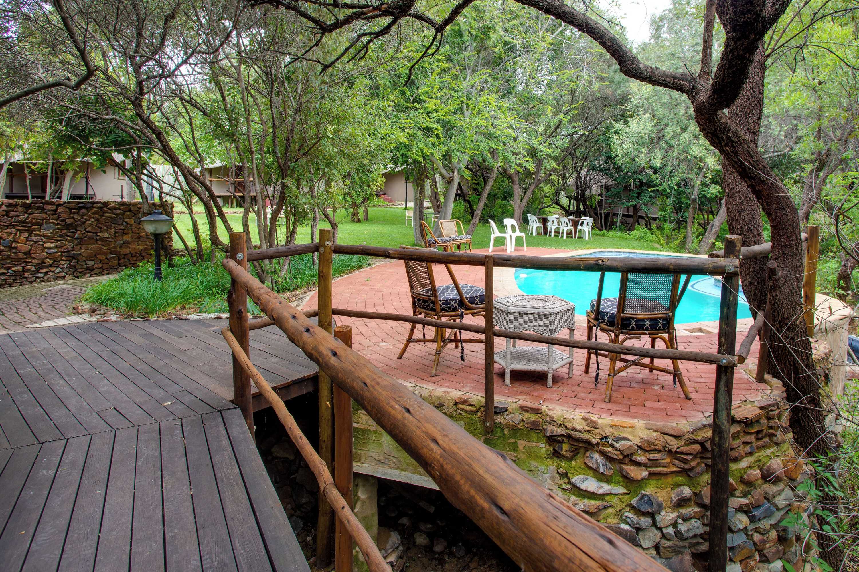 Gift card for Warthogs Bush Lodge Gift card for Warthogs Bush Lodge