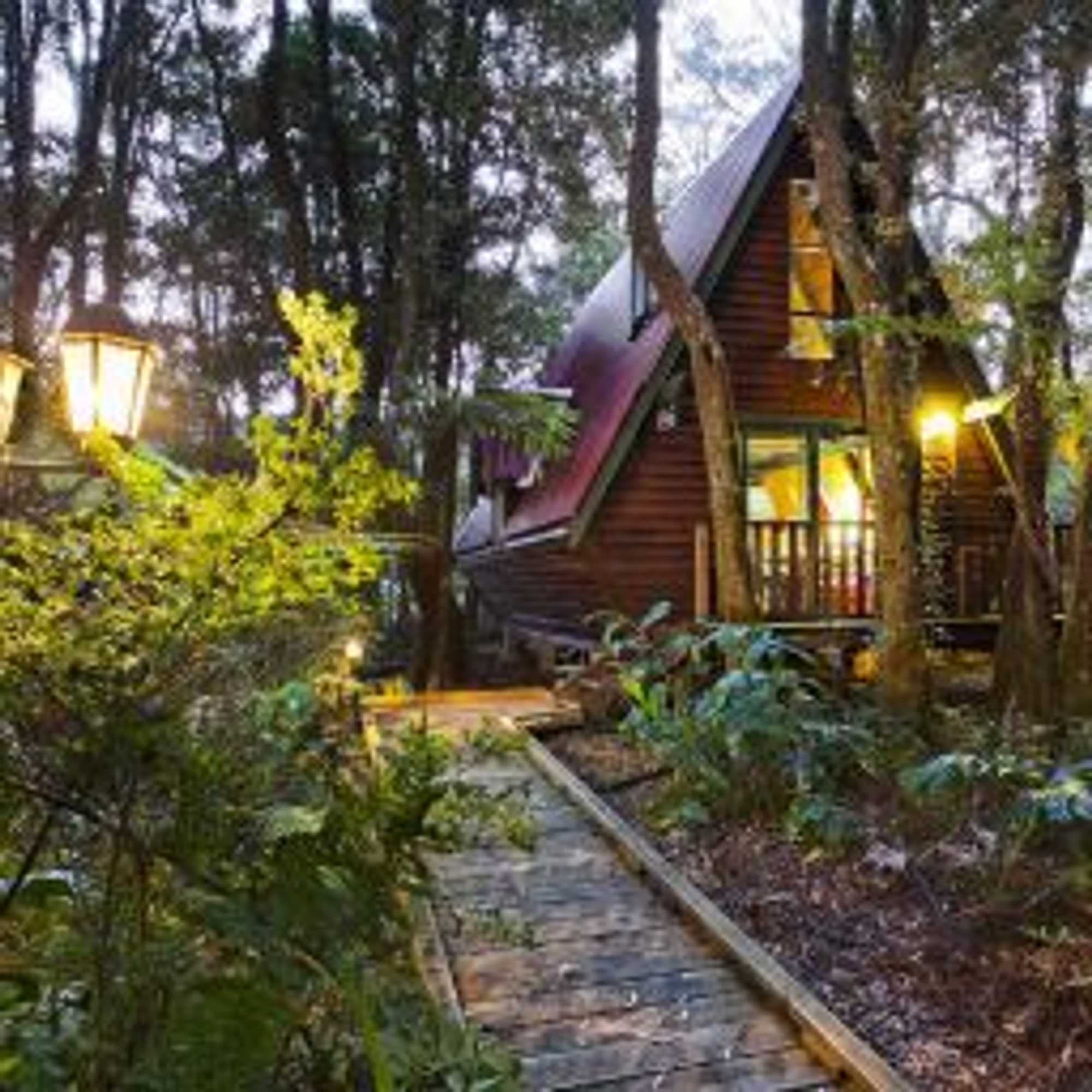Gift card for The Mouses House Rainforest Retreat Gift card for The Mouses House Rainforest Retreat