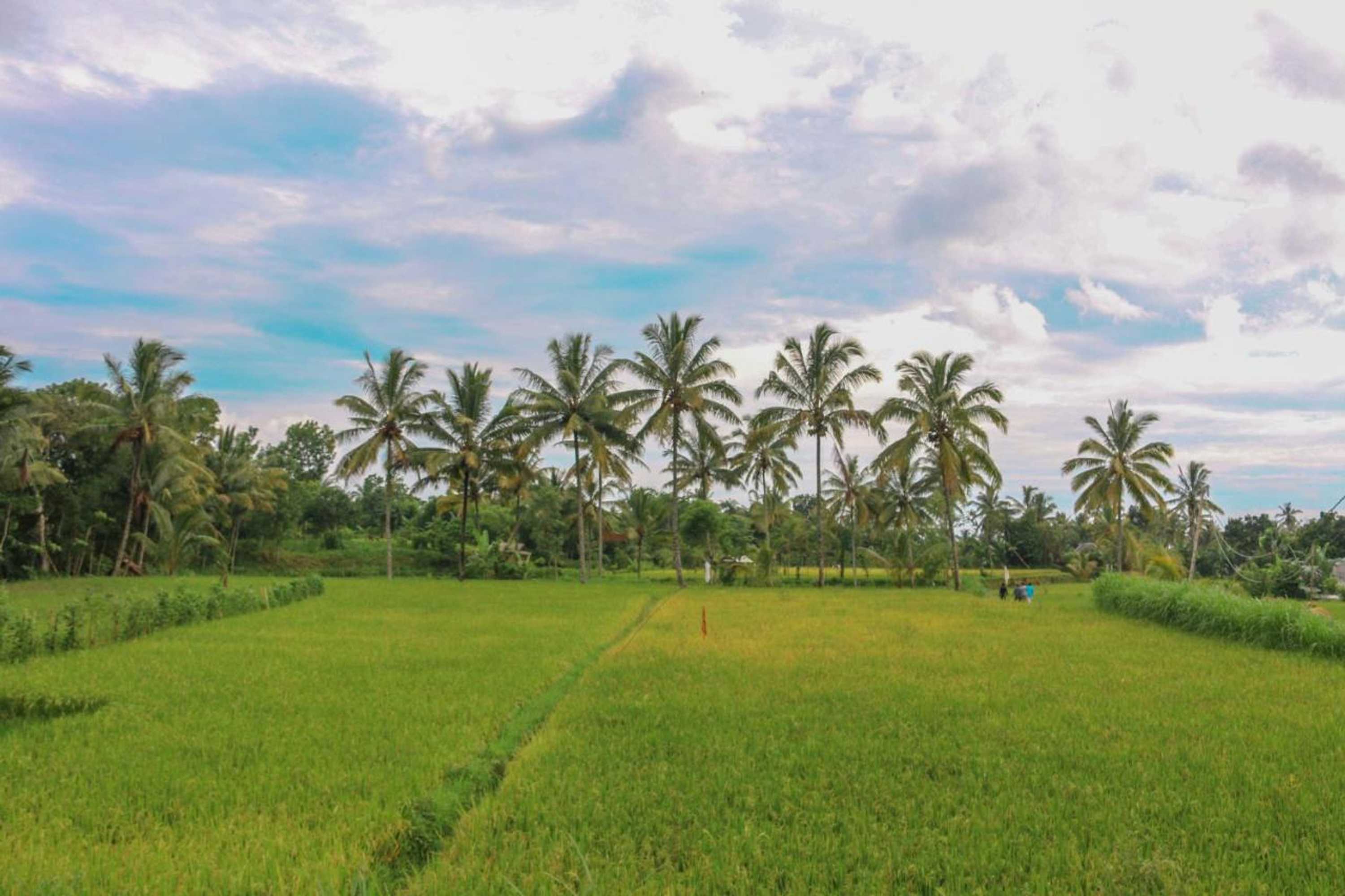 Gift card for Pondok Rinjani Bungalow Tetebatu Gift card for Pondok Rinjani Bungalow Tetebatu