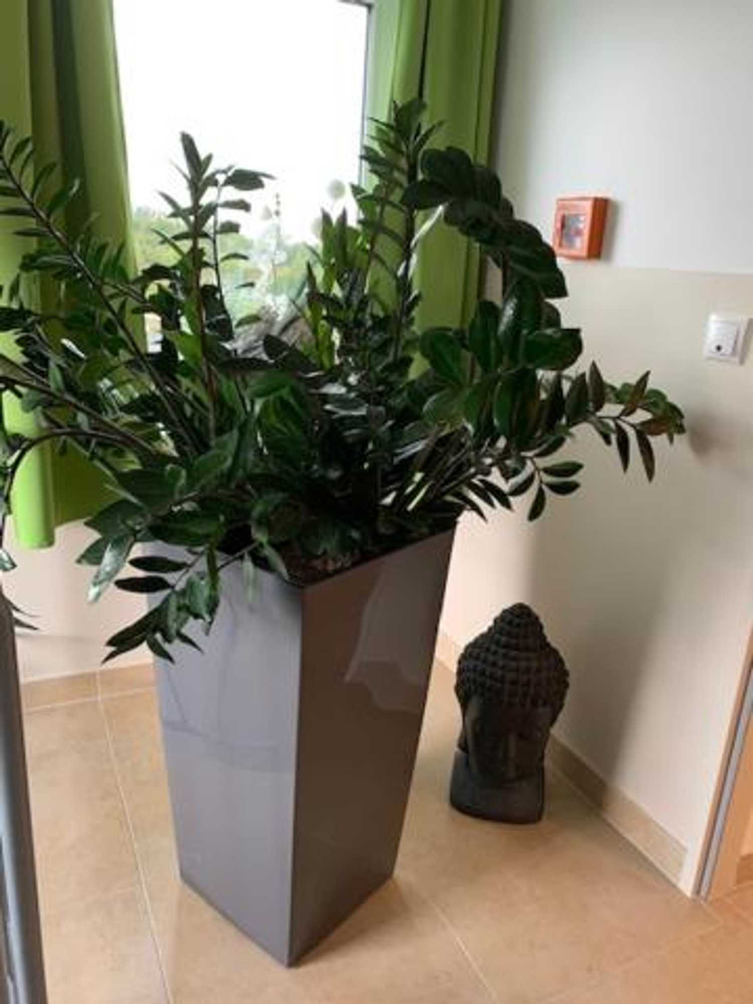 Gift card for A3 Hotel