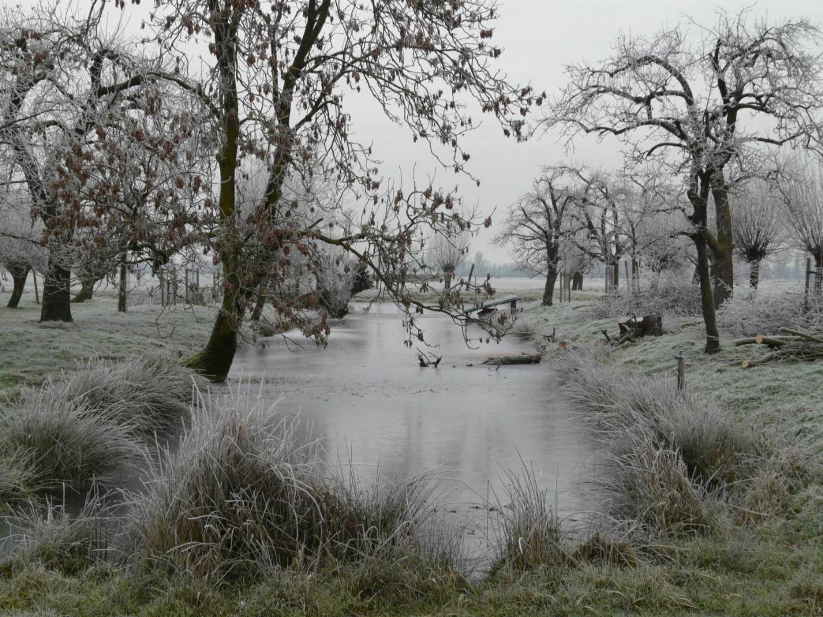 Gift card for De Boomgaard Groene Hart