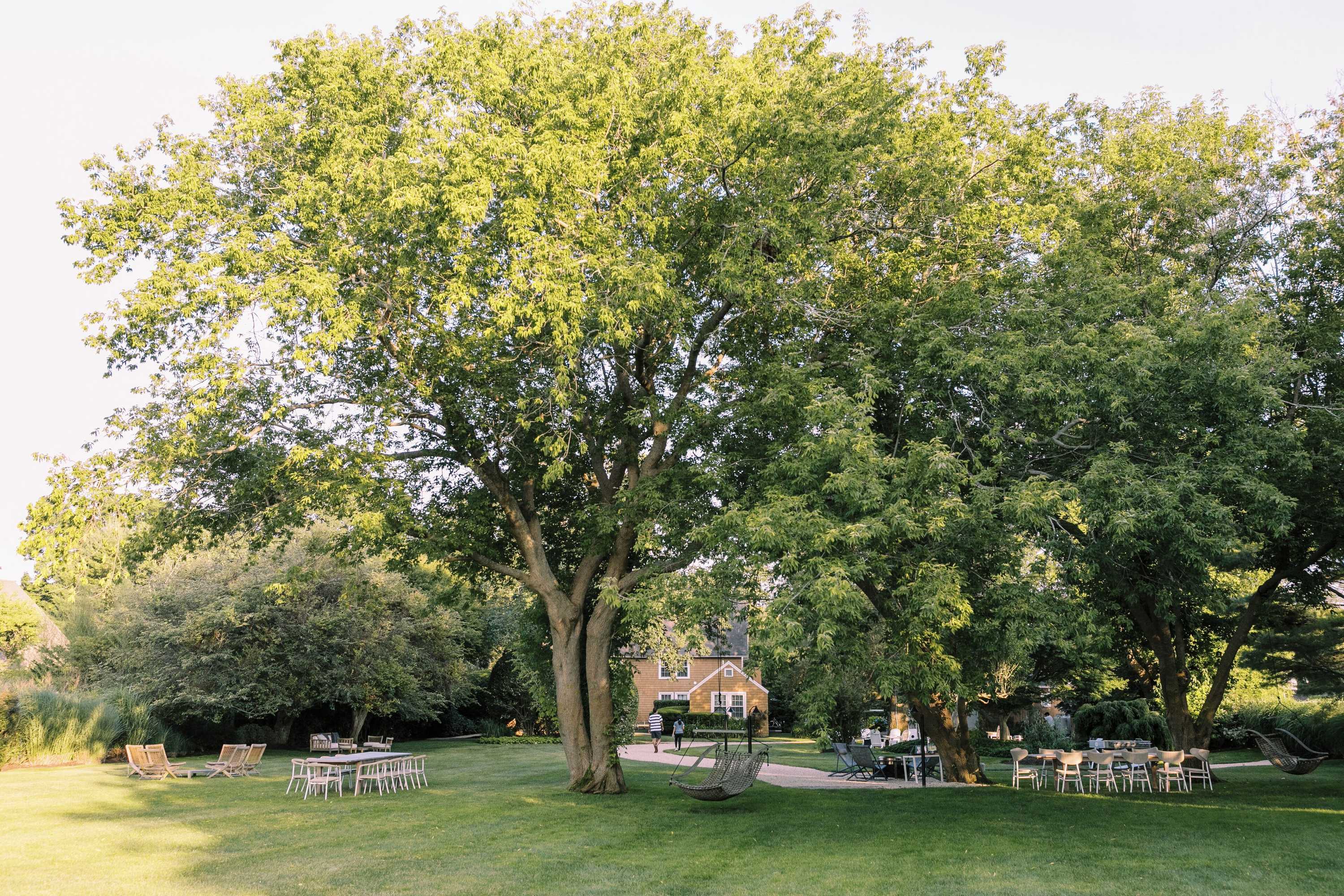 Gift card for The Roundtree, Amagansett Gift card for The Roundtree, Amagansett