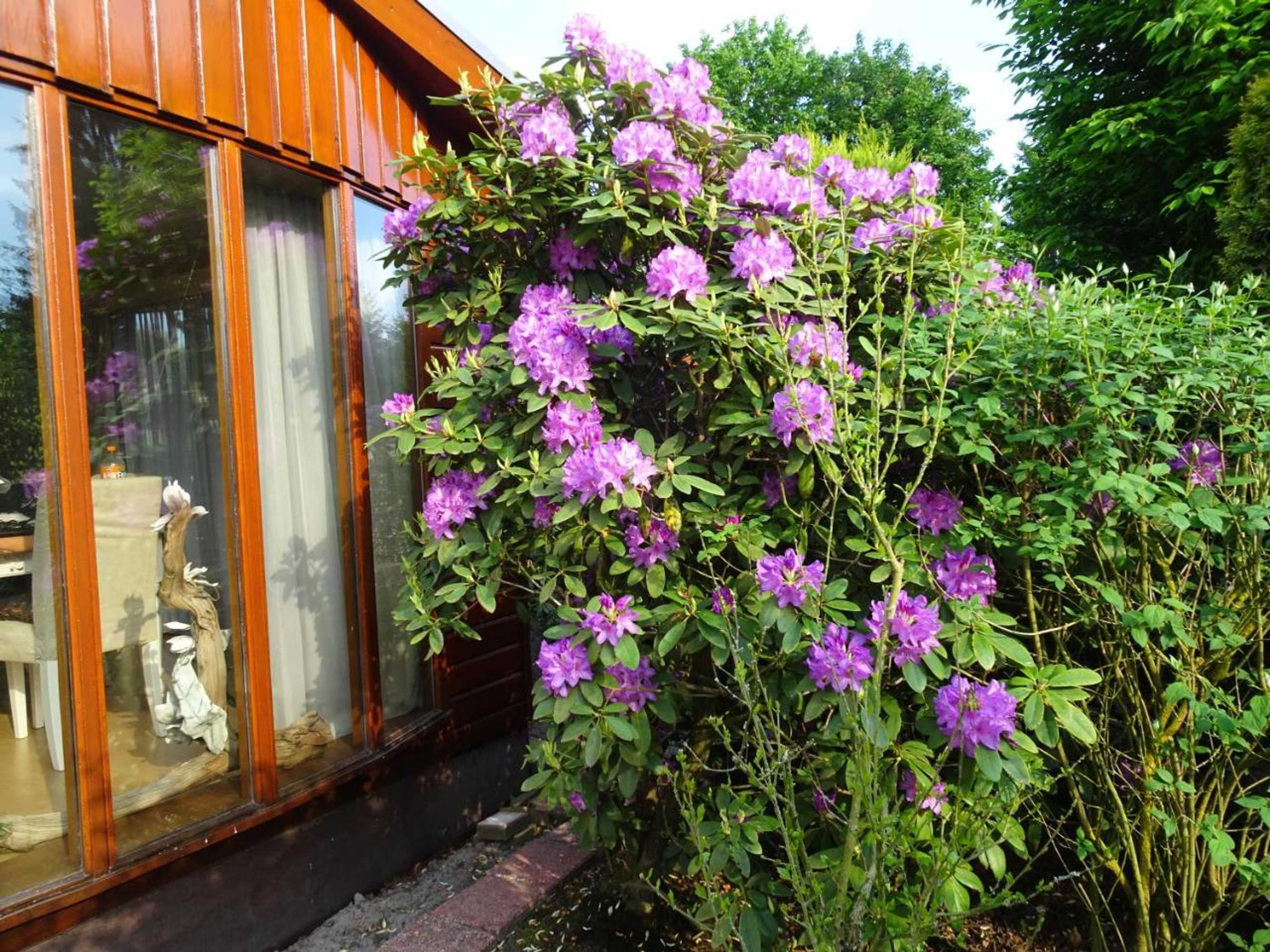 Gift card for Chalet Reewold