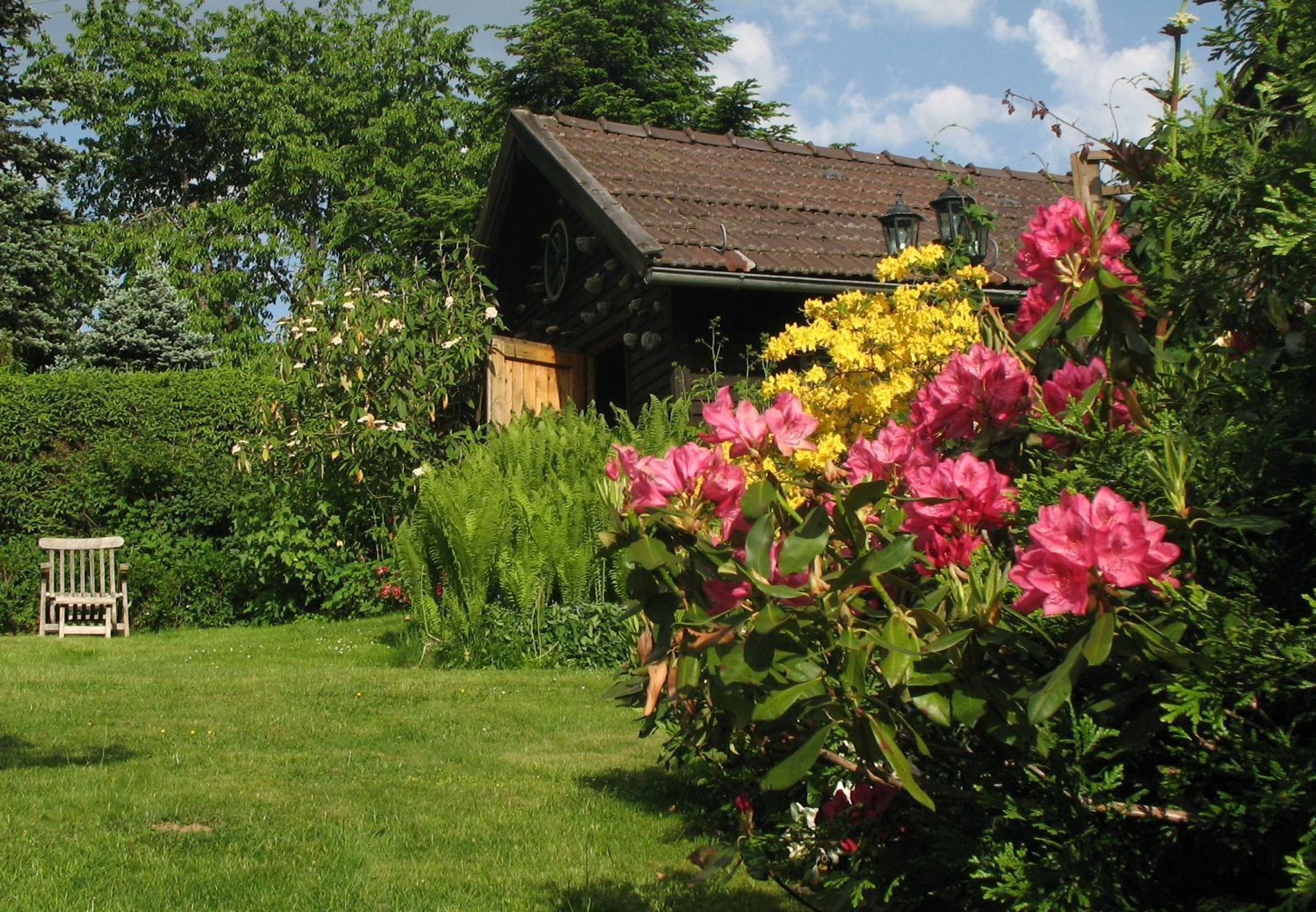 Gift card for Wildnisresidenz am Nationalpark