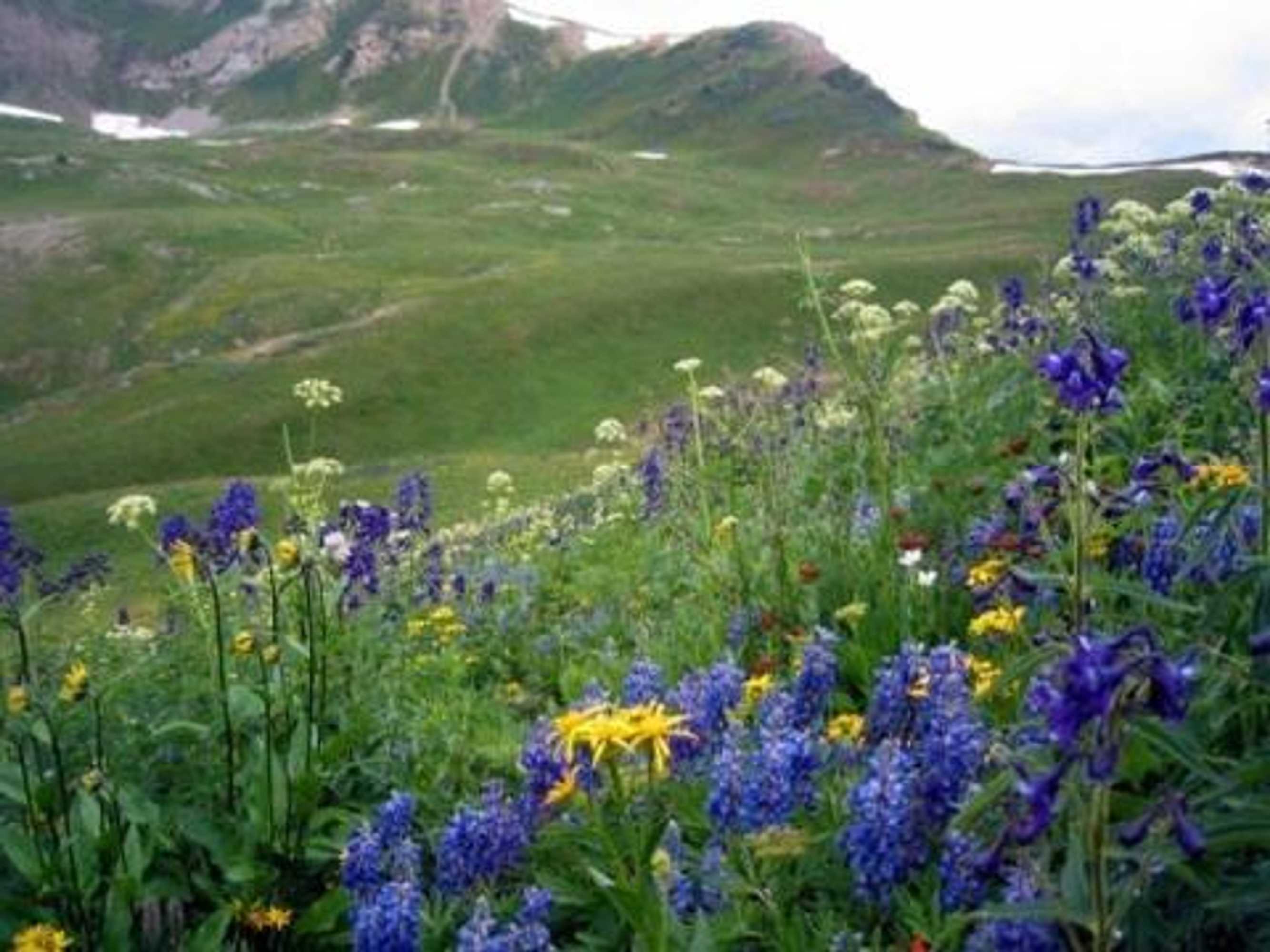 Gift card for Cristiana Guesthaus