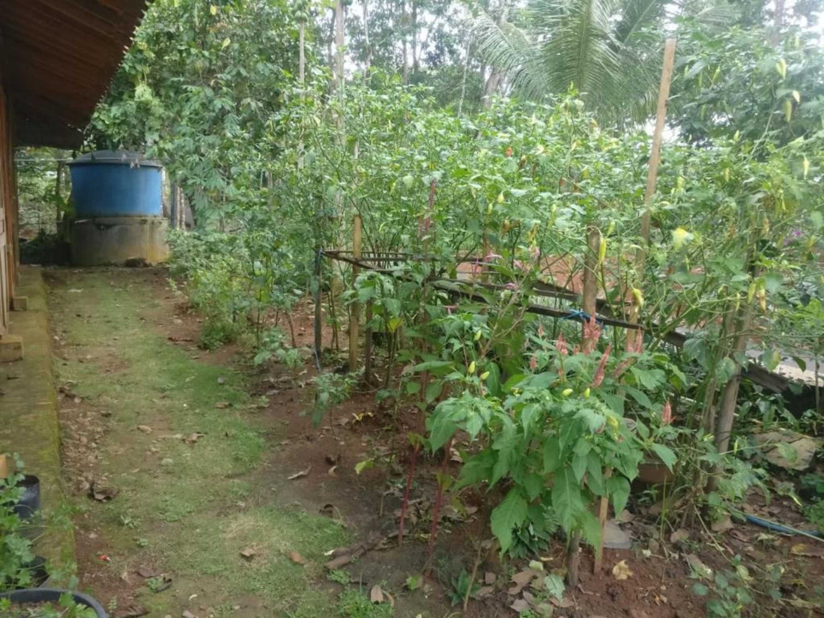 Gift card for Homestay An-Nur - Hostel