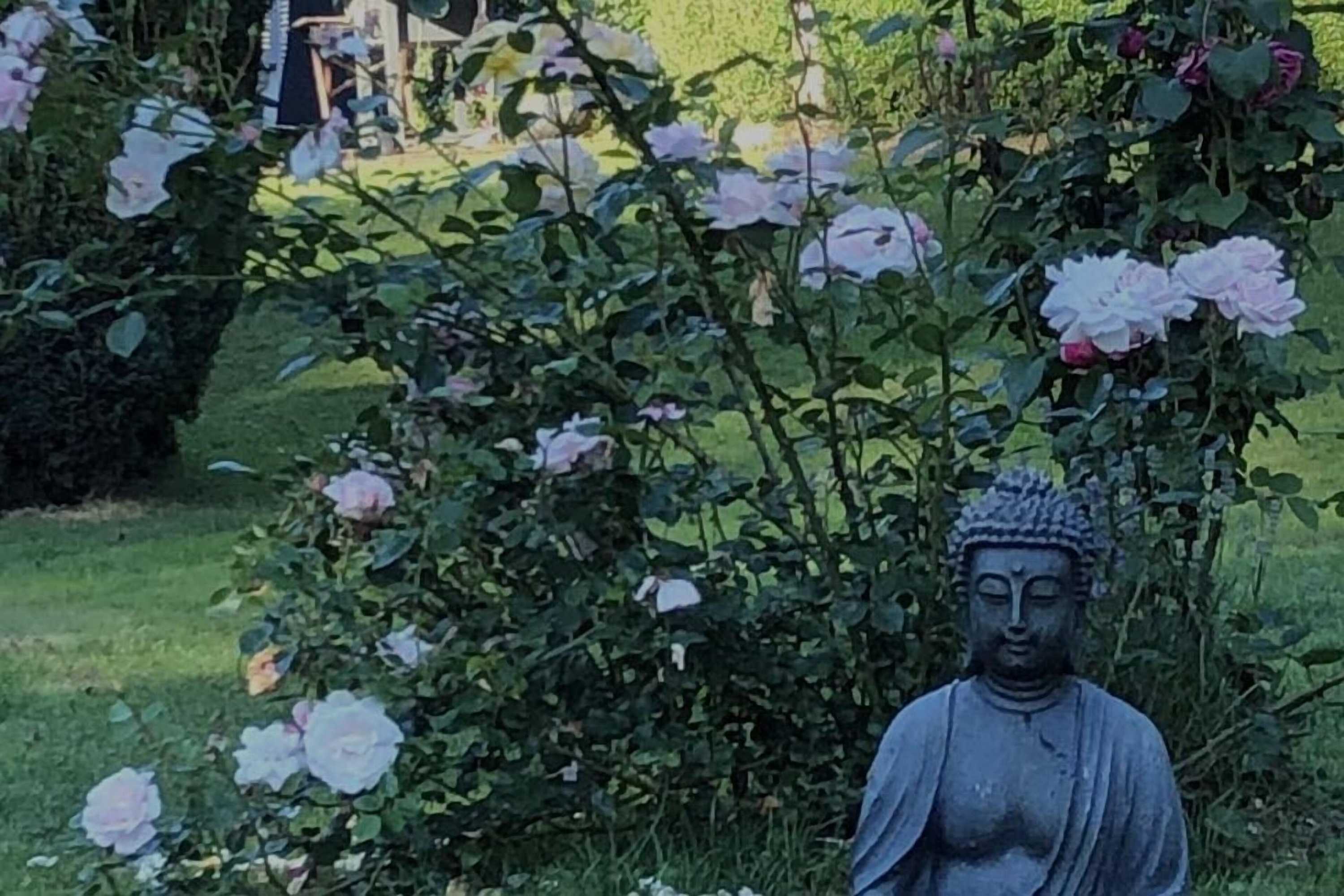 Gift card for Romantikmühle Heartlandranch