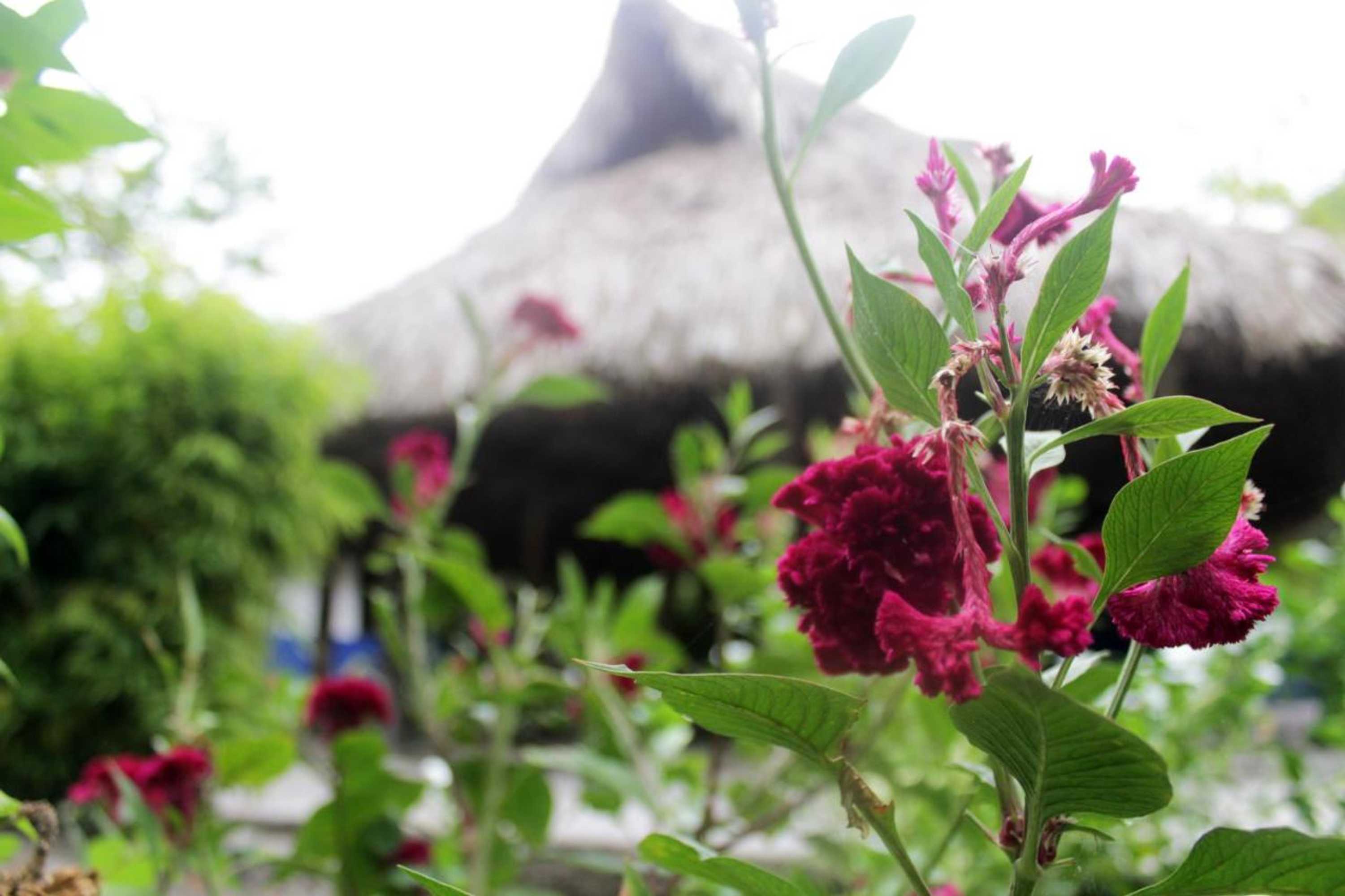 Gift card for Ecohouse Las Flores