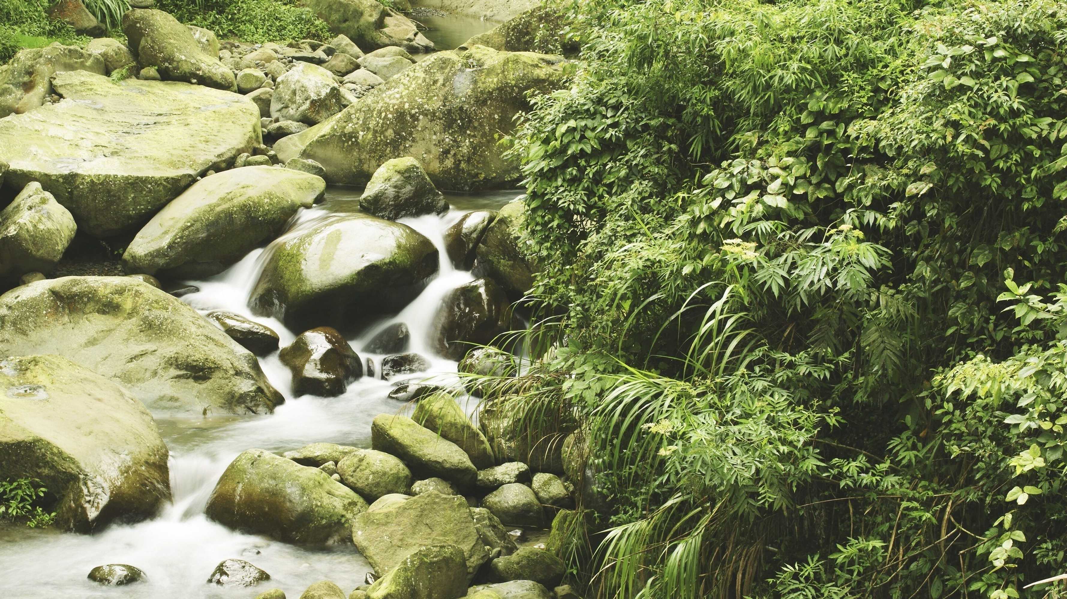 Gift card for Hotel Royal Beitou