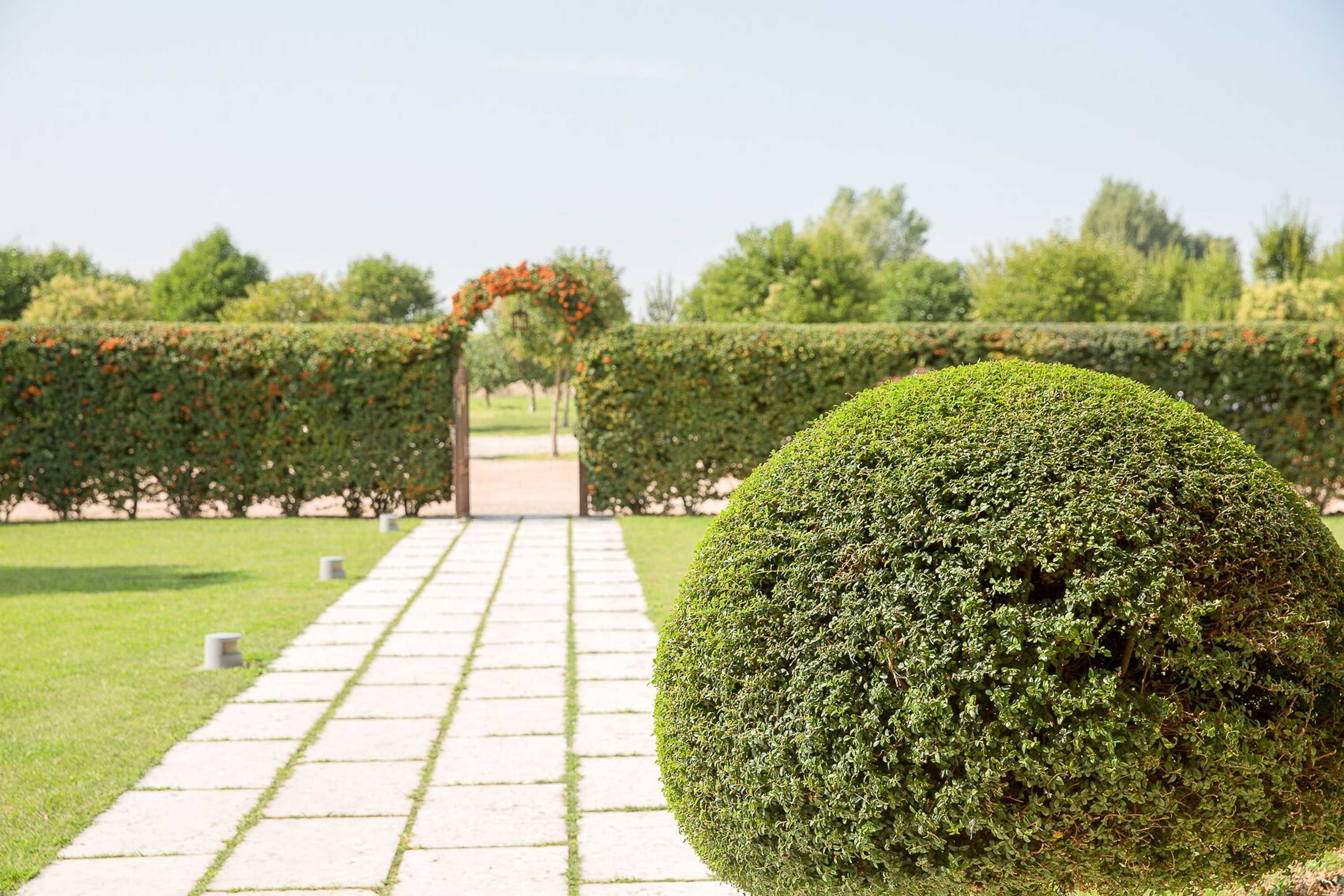 Gift card for Tenuta Albertini Gift card for Tenuta Albertini