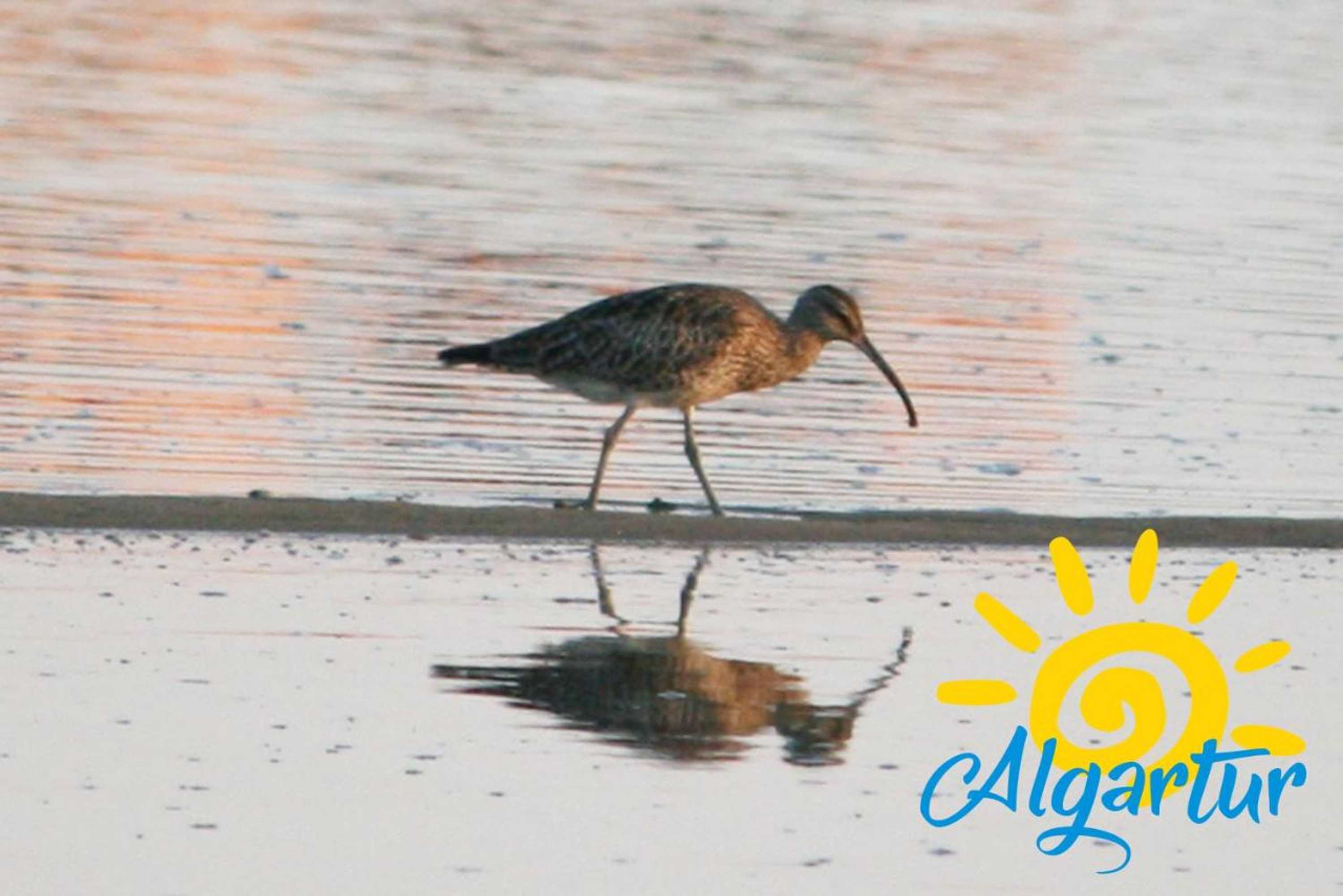 Gift card for Cabanas Ria