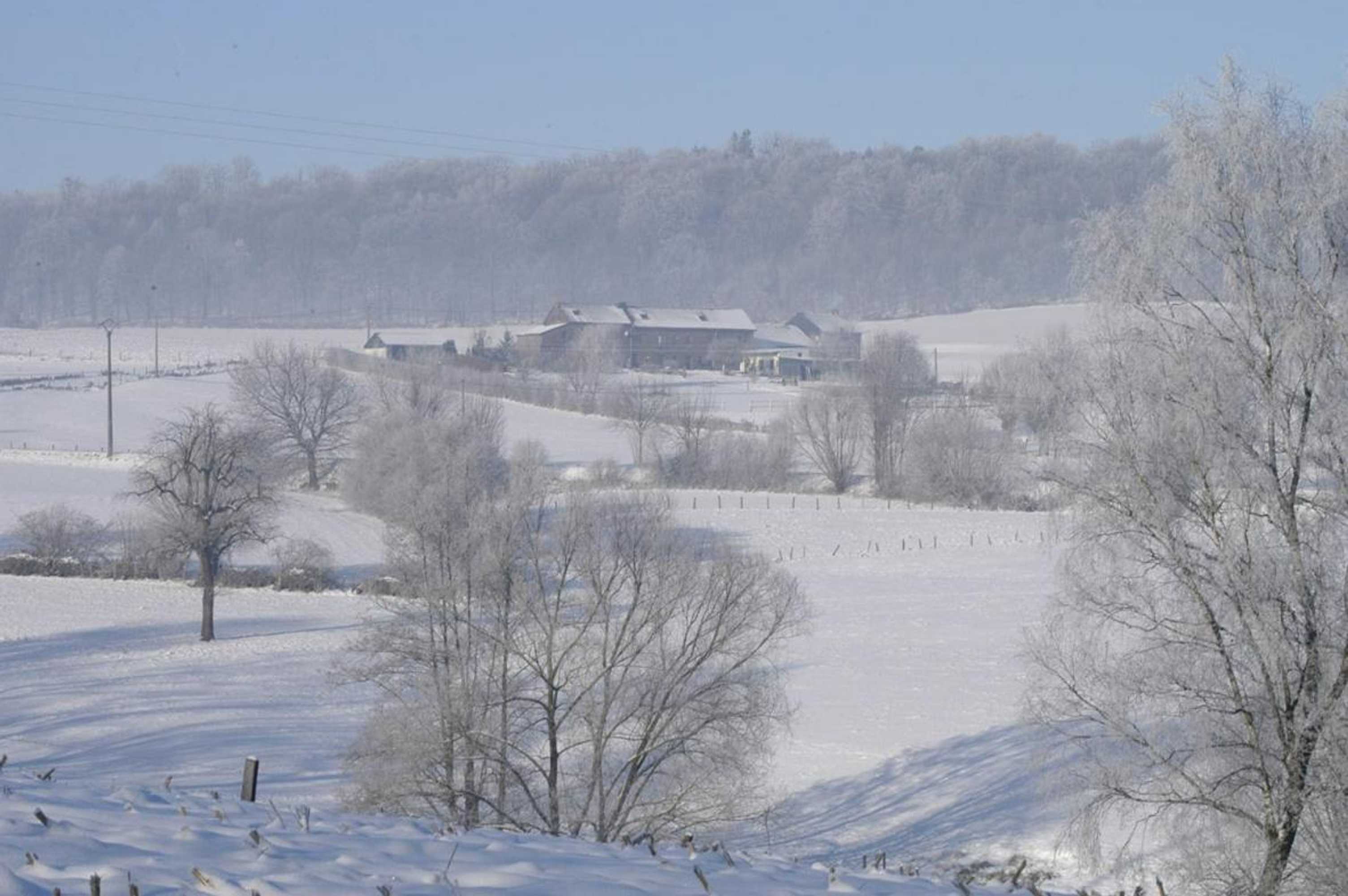 Gift card for Appartement Hoeve Espewey - Leisure Only