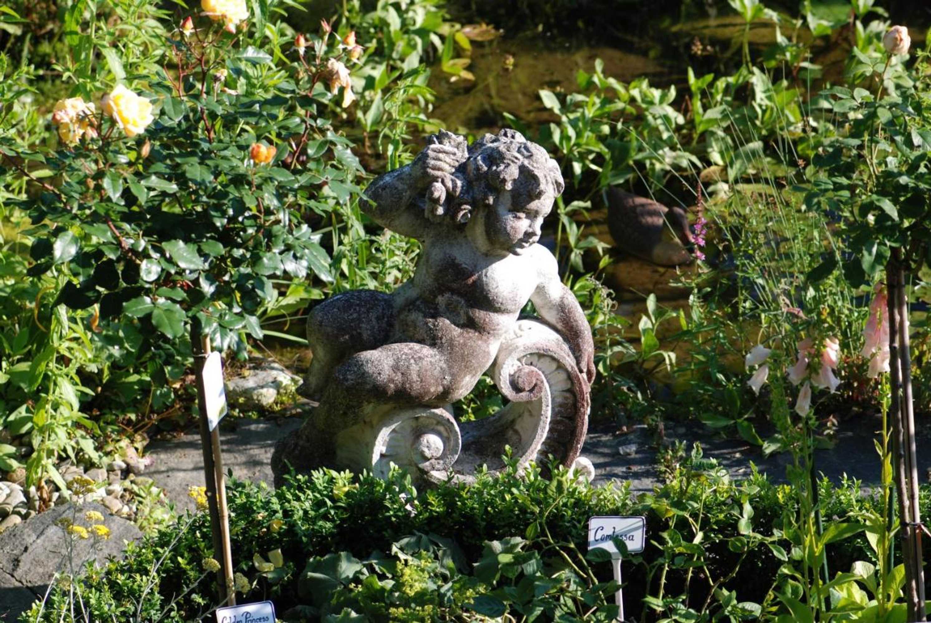 Gift card for Im Röseligarten