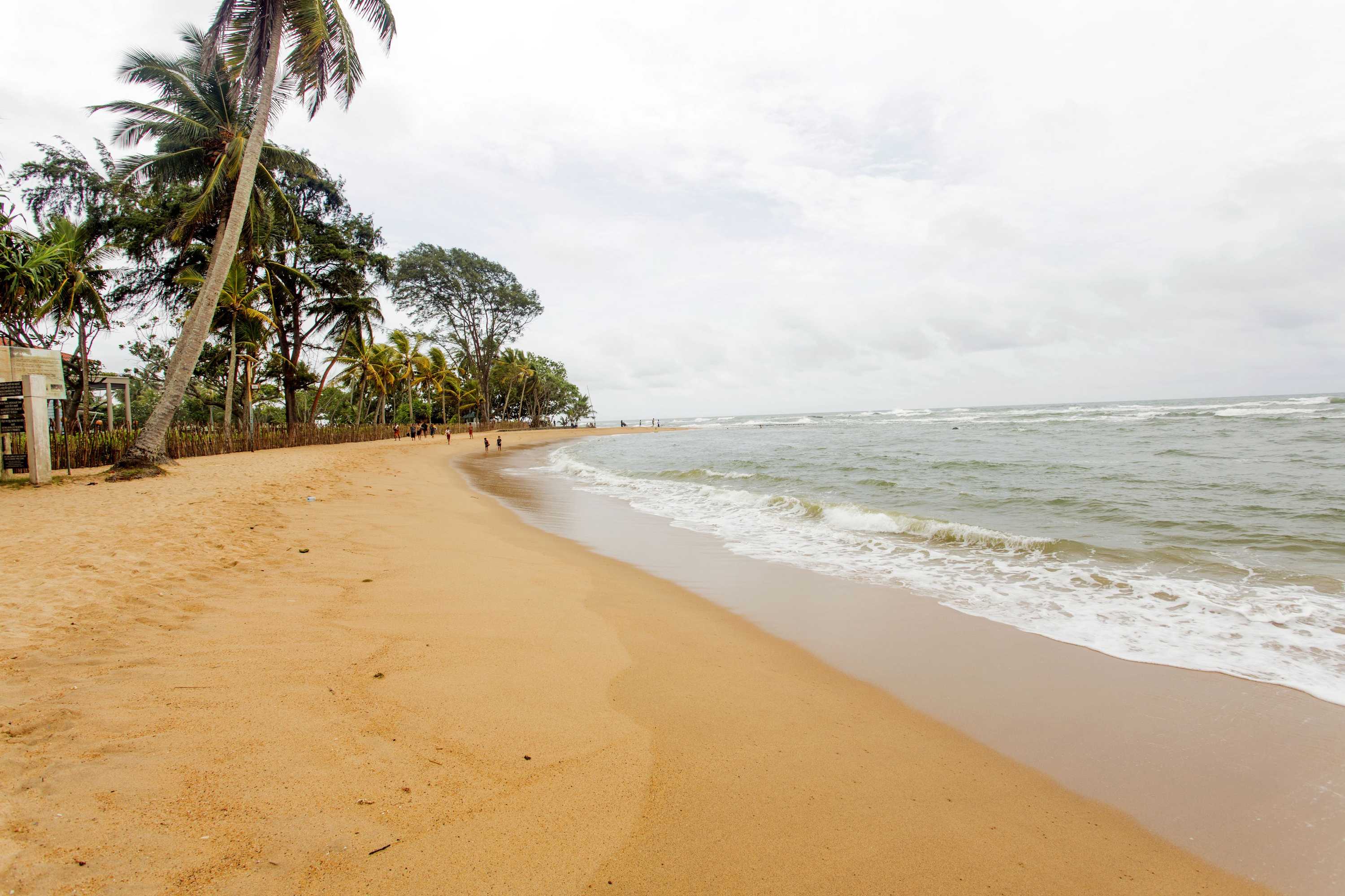 Gift card for Earl's Reef Beruwala Gift card for Earl's Reef Beruwala