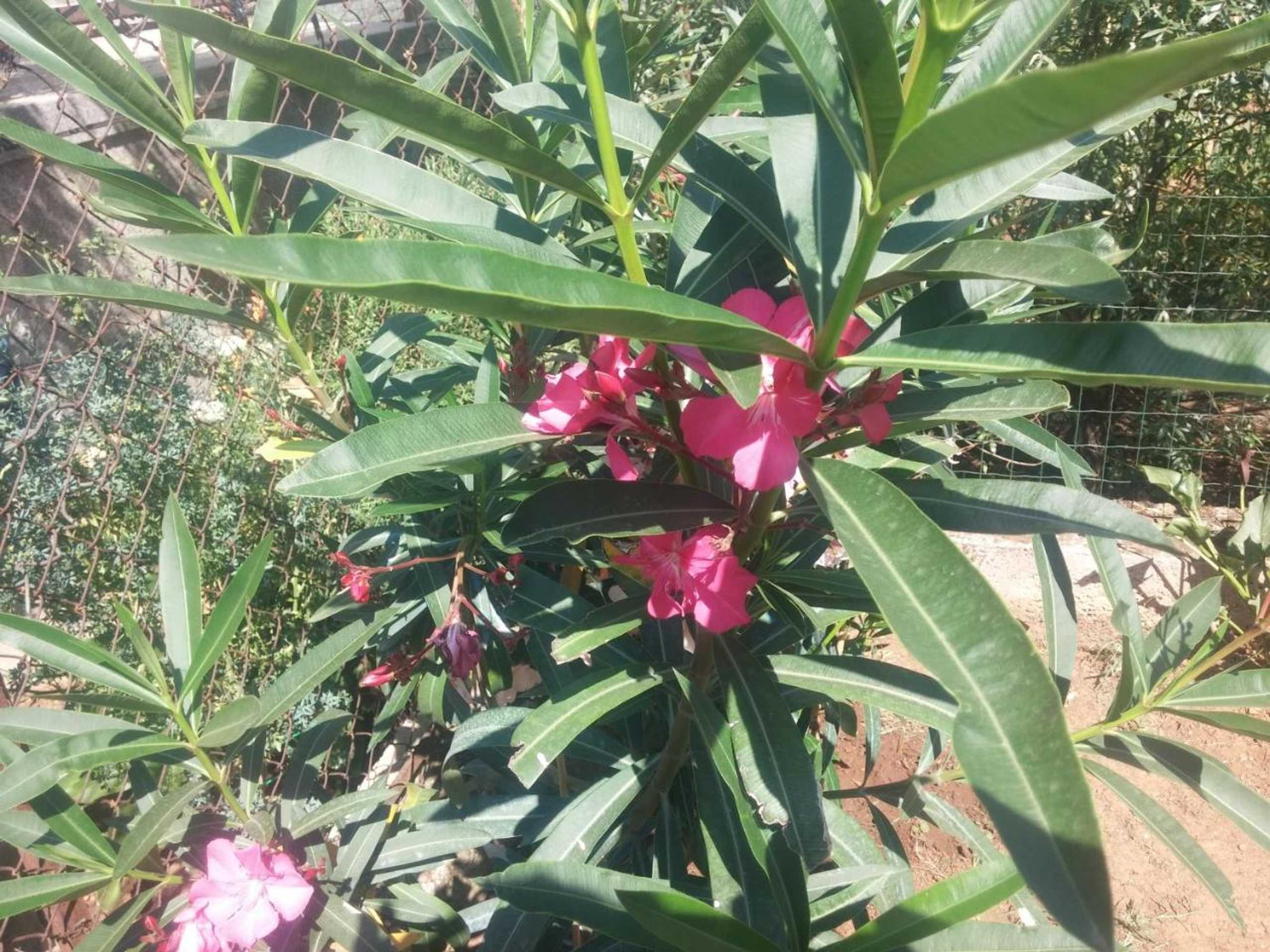 Gift card for Apartments Manuela