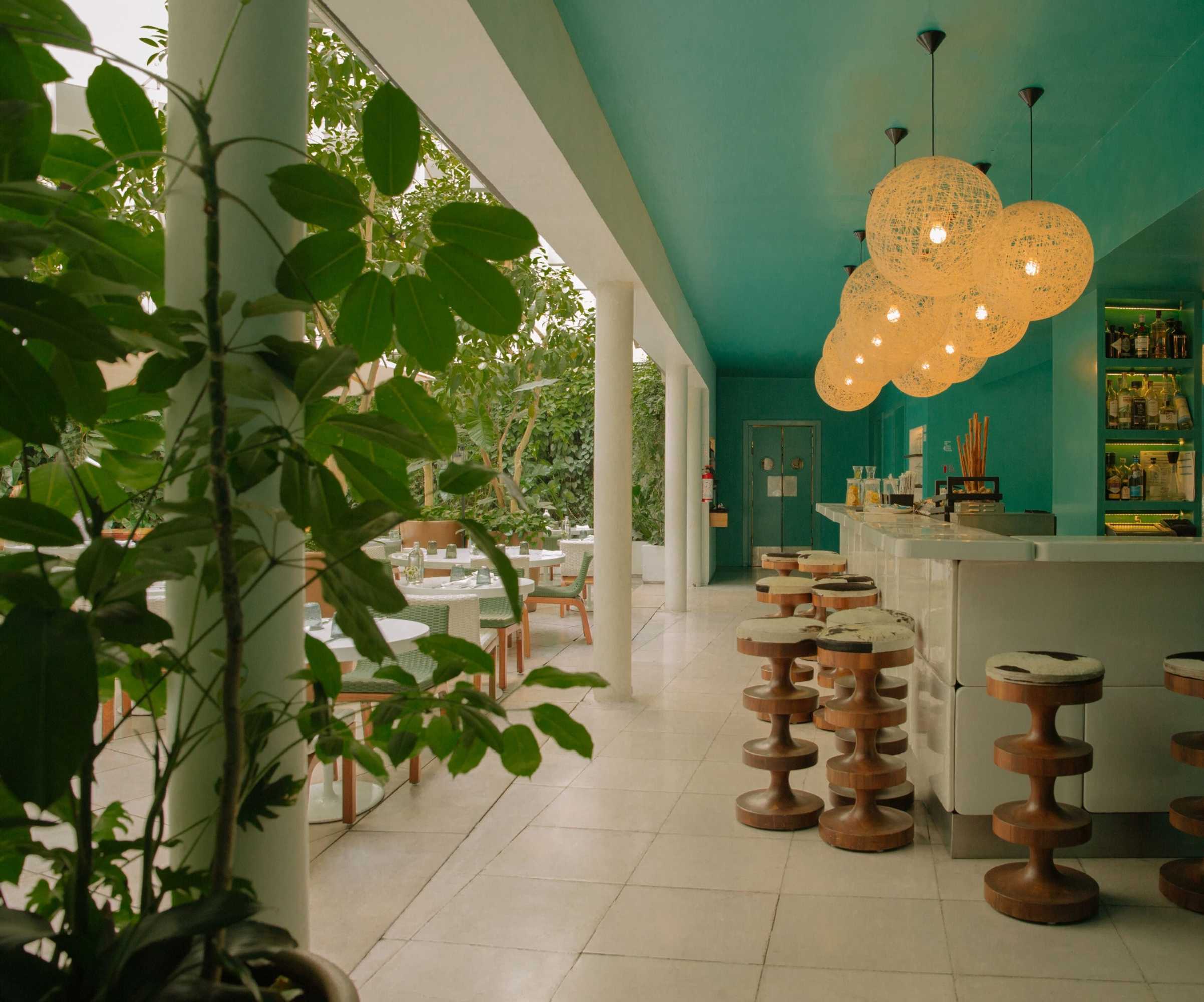 Gift card for Condesa Df, Mexico City, a Member of Design Hotels Gift card for Condesa Df, Mexico City, a Member of Design Hotels
