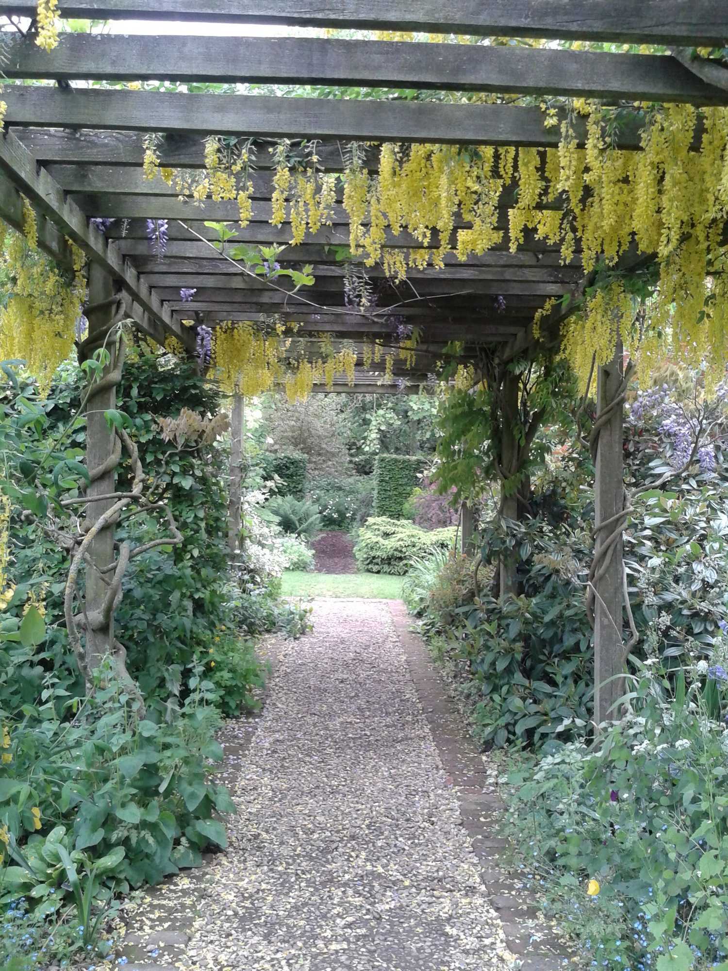 Gift card for The Old Stables