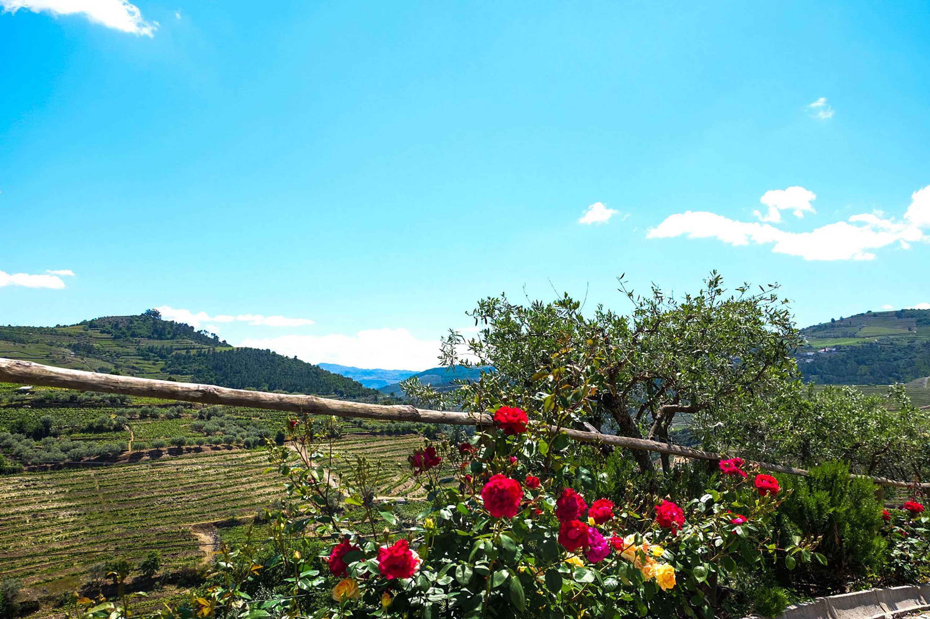 Gift card for Hotel Rural Quinta do Silval Gift card for Hotel Rural Quinta do Silval