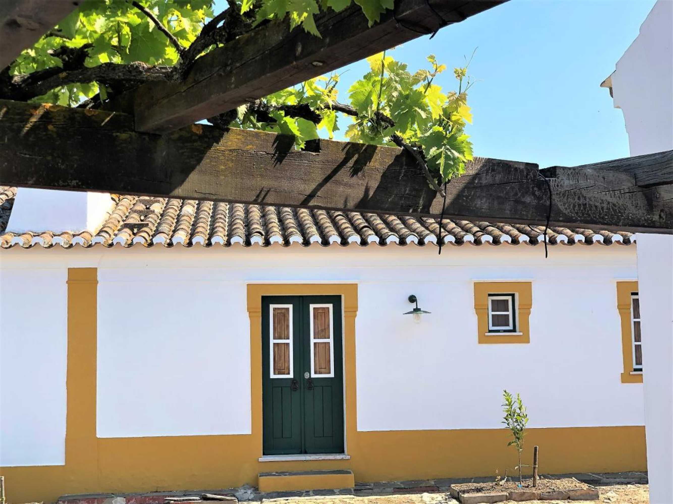 Gift card for Monte Papa Toucinho