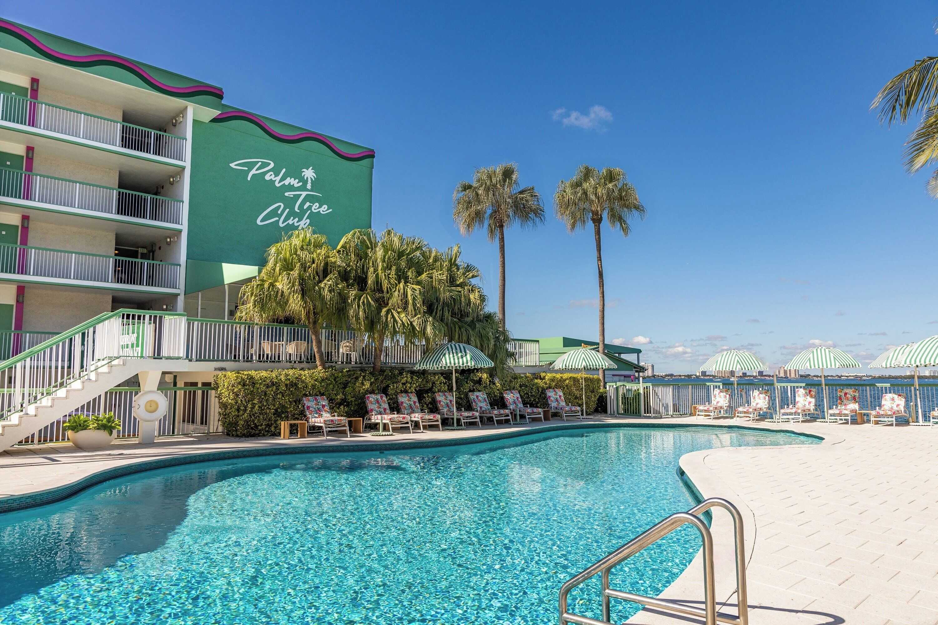 Gift card for Palm Tree Club Miami Gift card for Palm Tree Club Miami