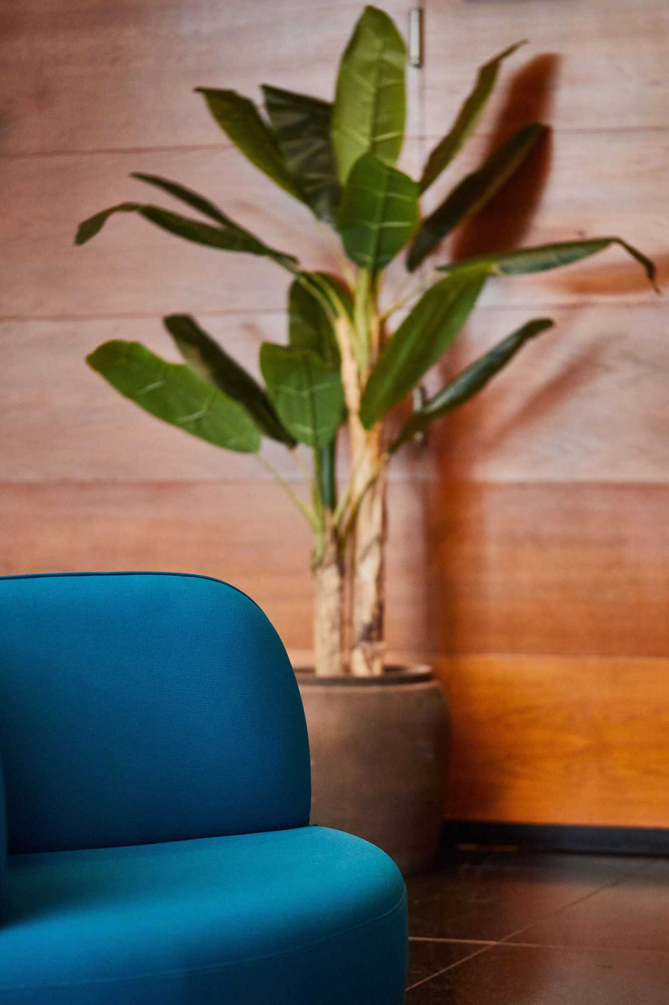 Gift card for Hotel Silken Ciudad Gijon