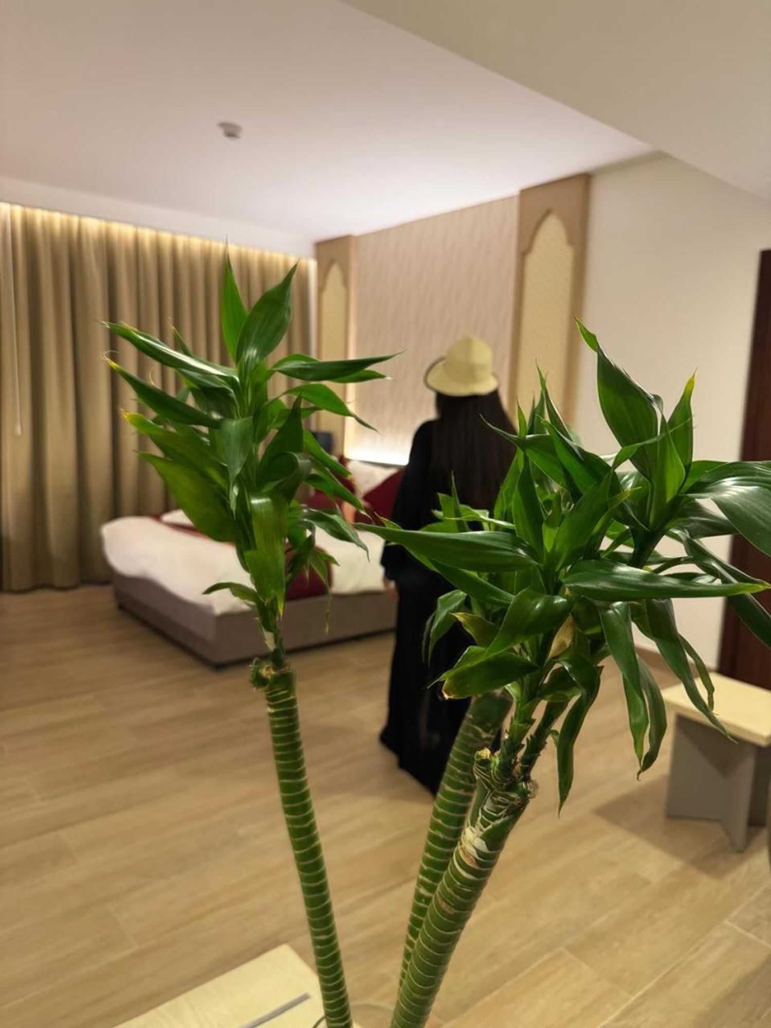 Gift card for Falaj Daris Hotel Gift card for Falaj Daris Hotel