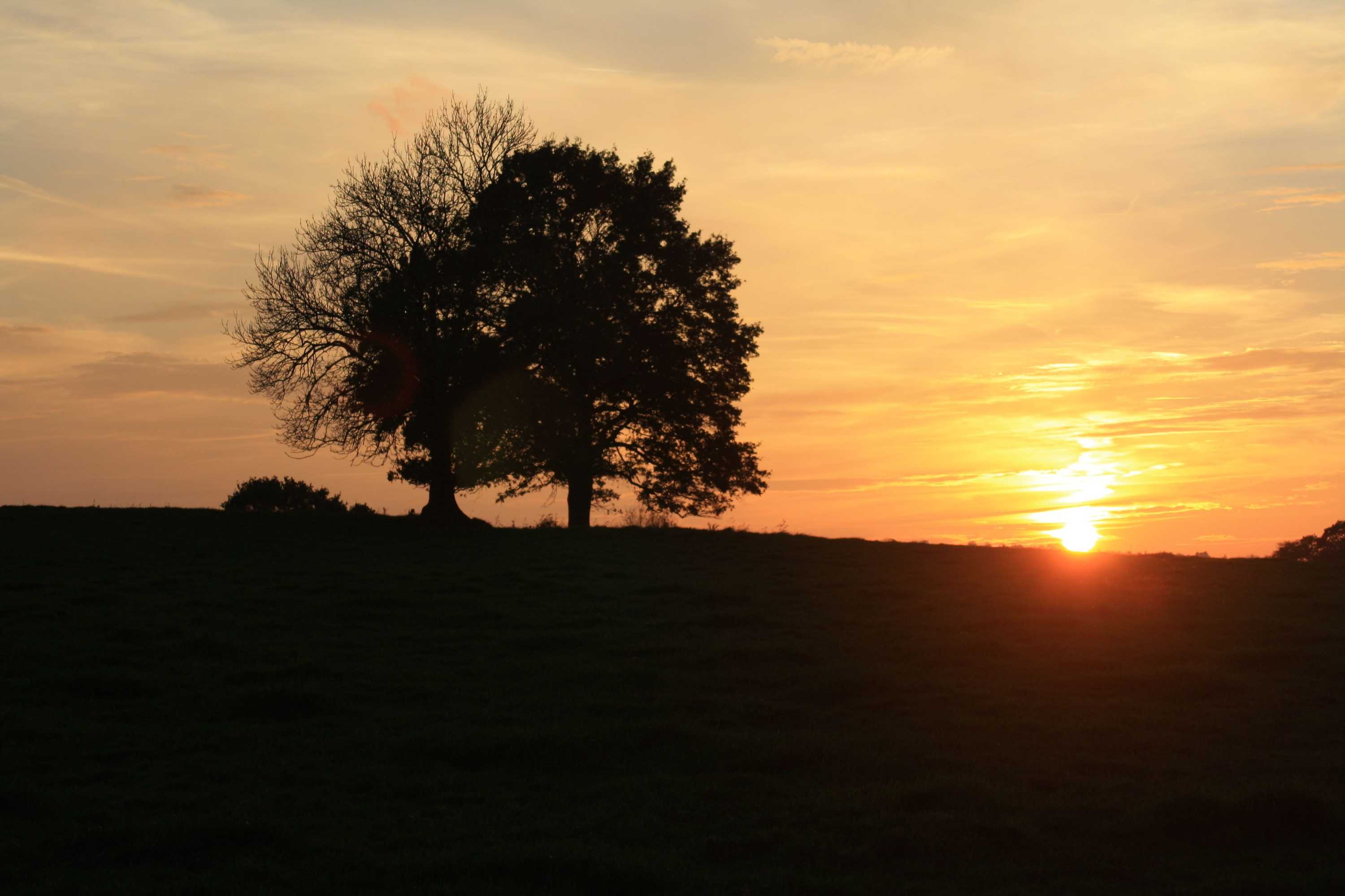 Gift card for Ô Macra