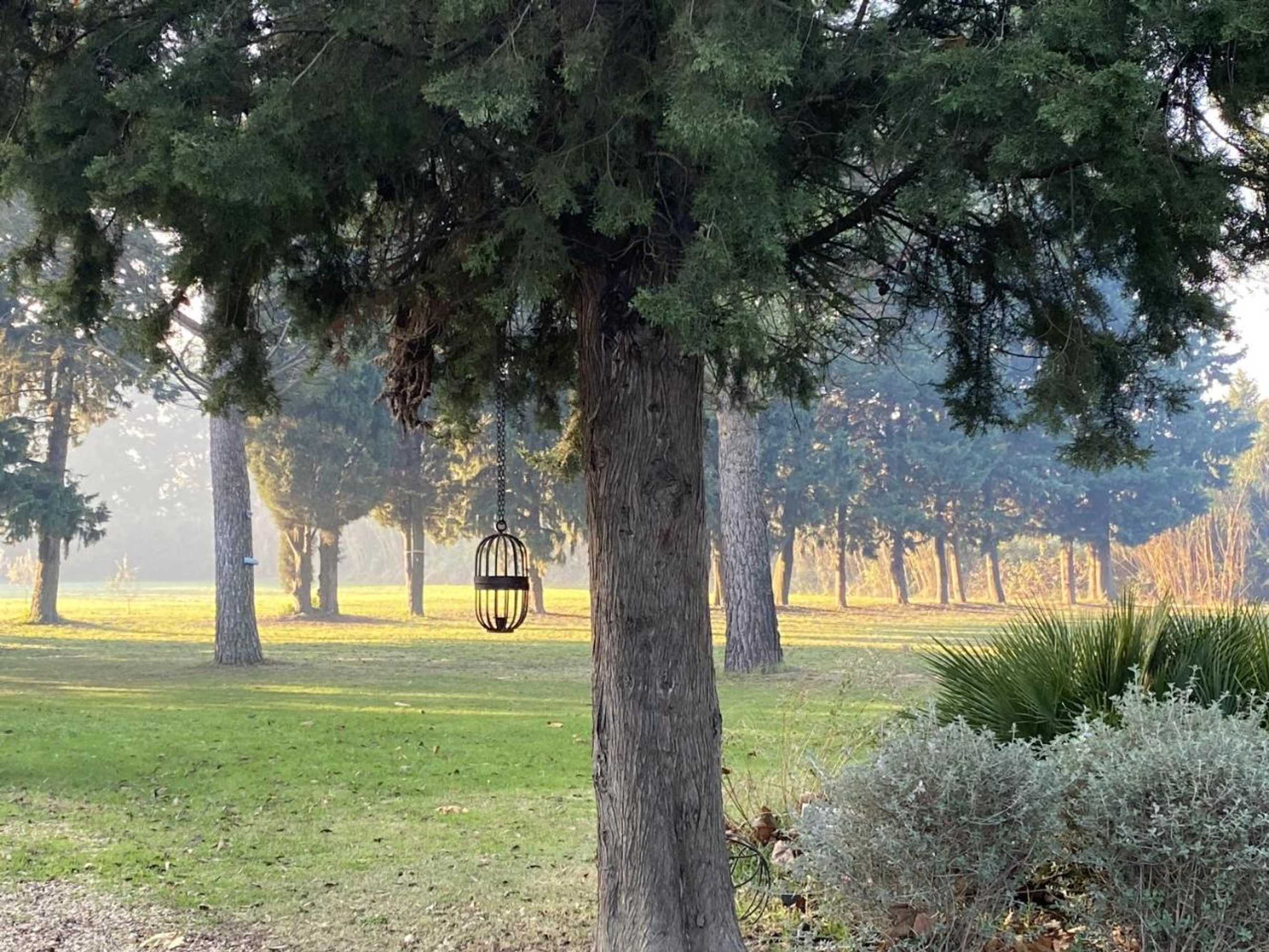 Gift card for Mas La Pauline Gift card for Mas La Pauline