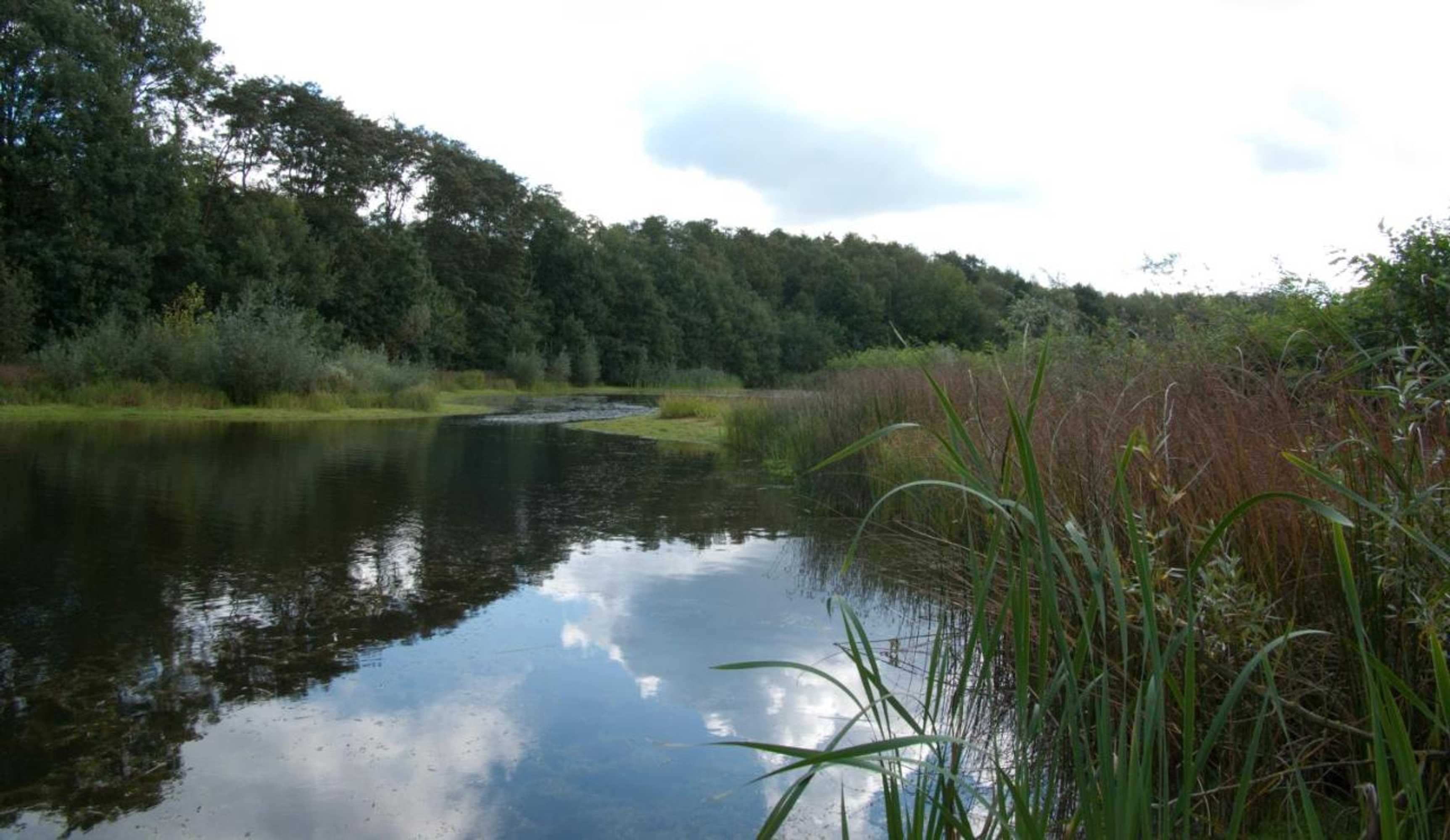 Gift card for B&b Ginnekenshoeve