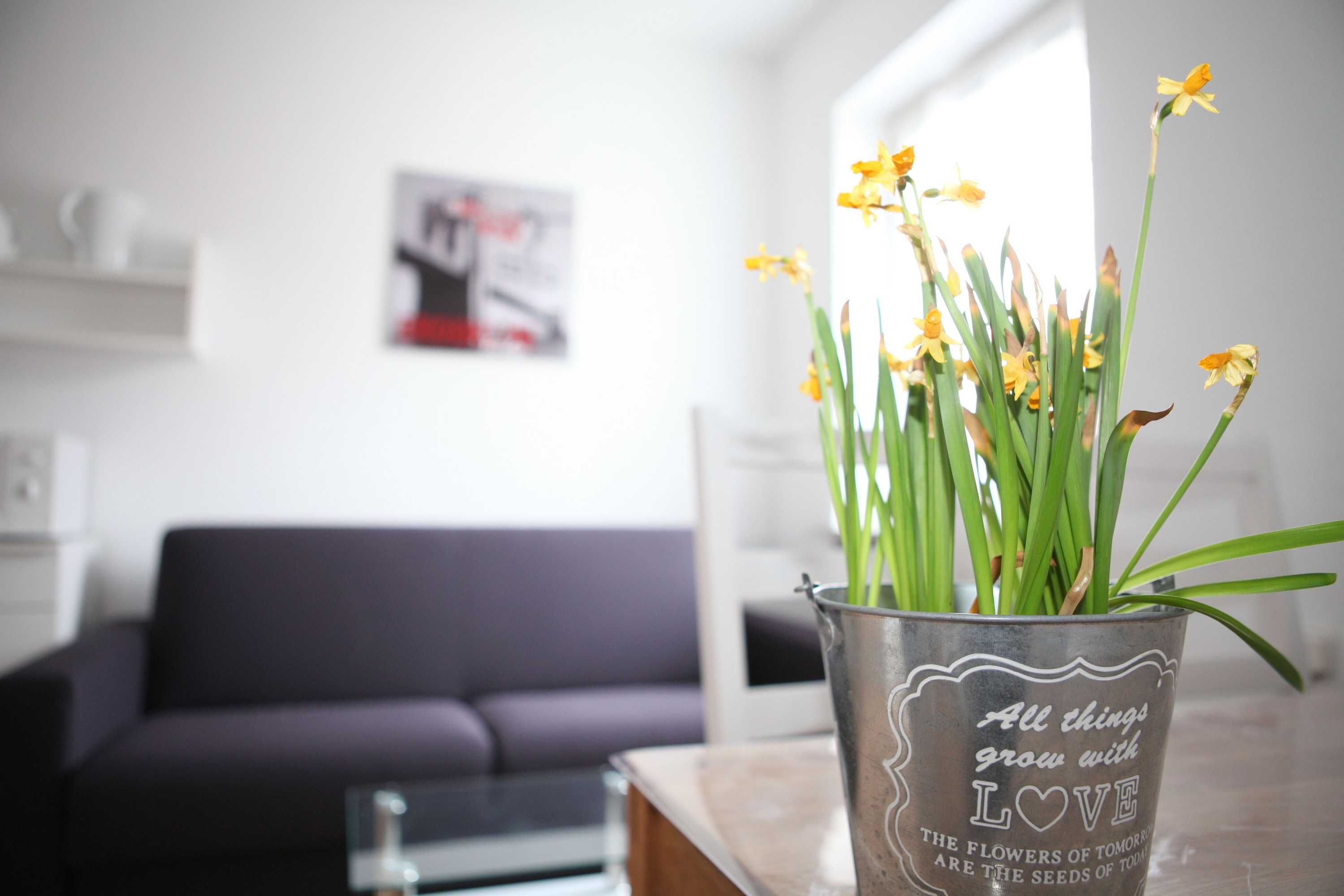 Gift card for White House Bochum Ehrenfeld