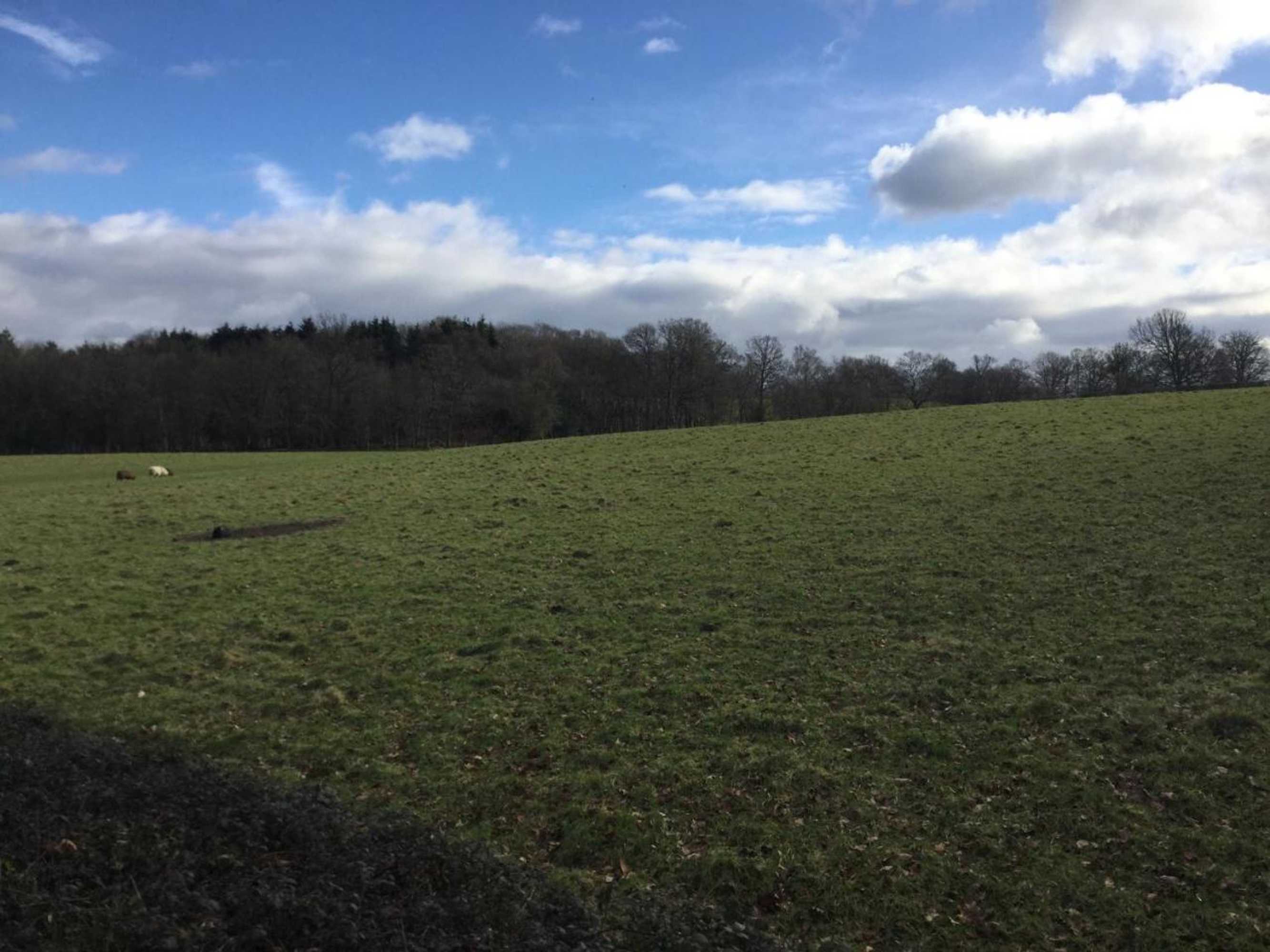 Gift card for Field Cottage B&b