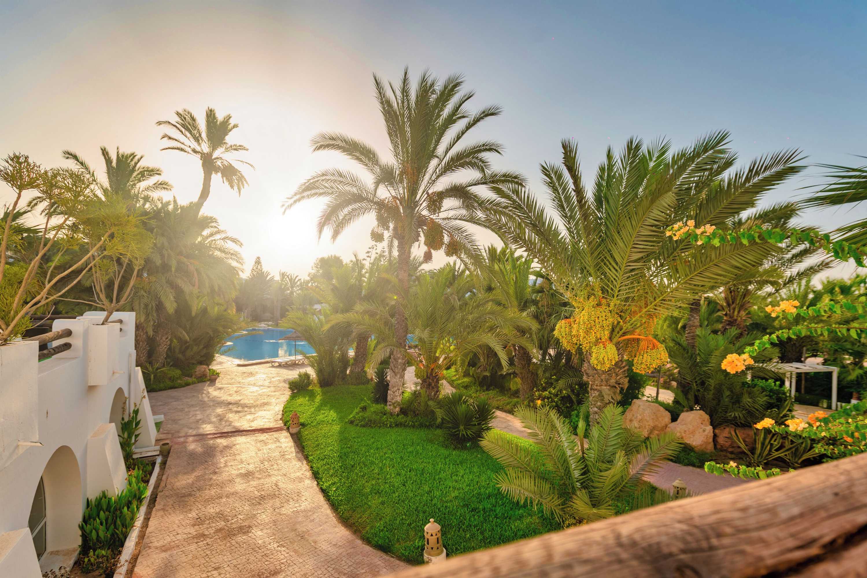 Gift card for Djerba Resort Gift card for Djerba Resort