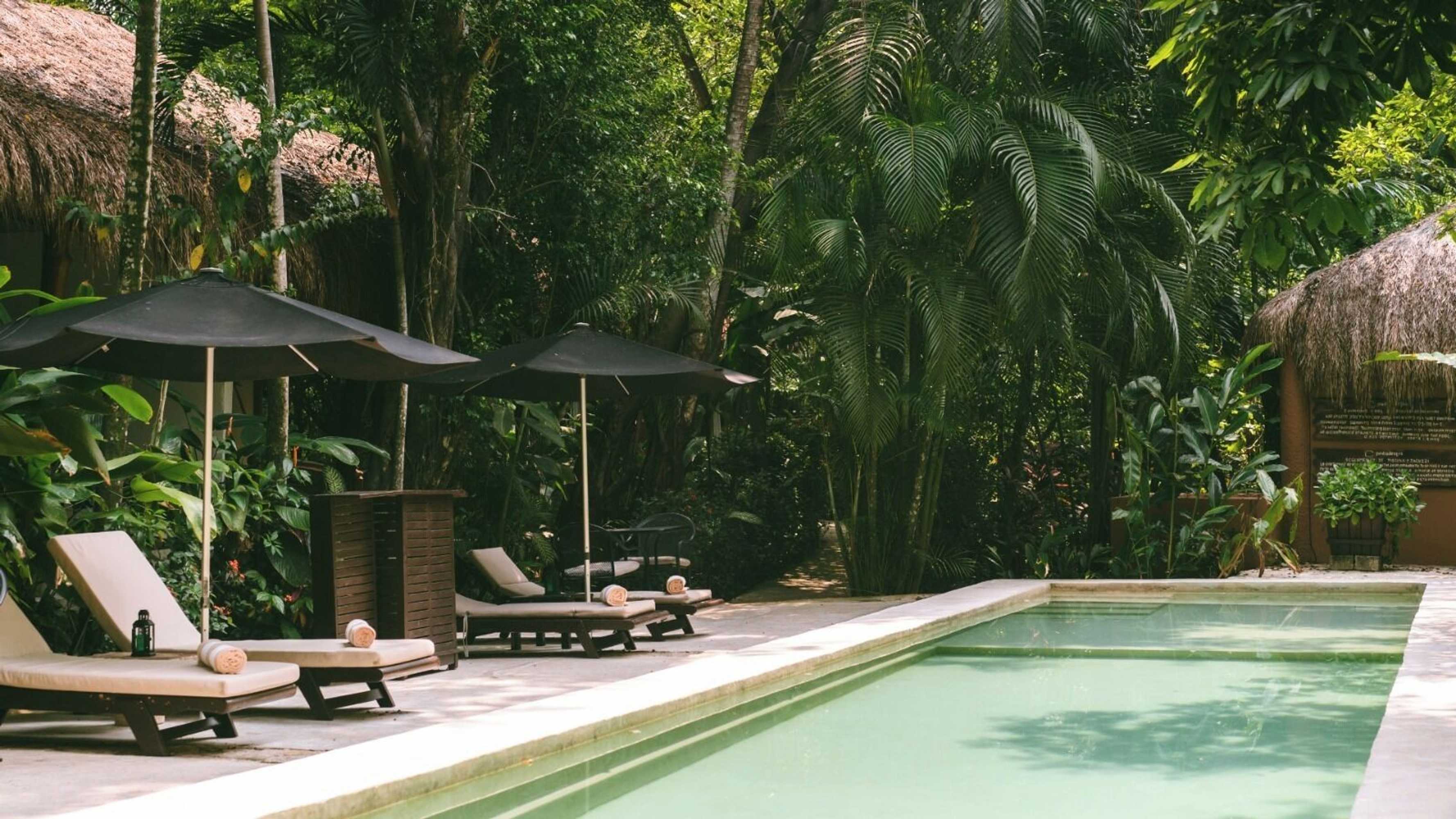 Gift card for Piedra de Agua Hotel Boutique Palenque Gift card for Piedra de Agua Hotel Boutique Palenque