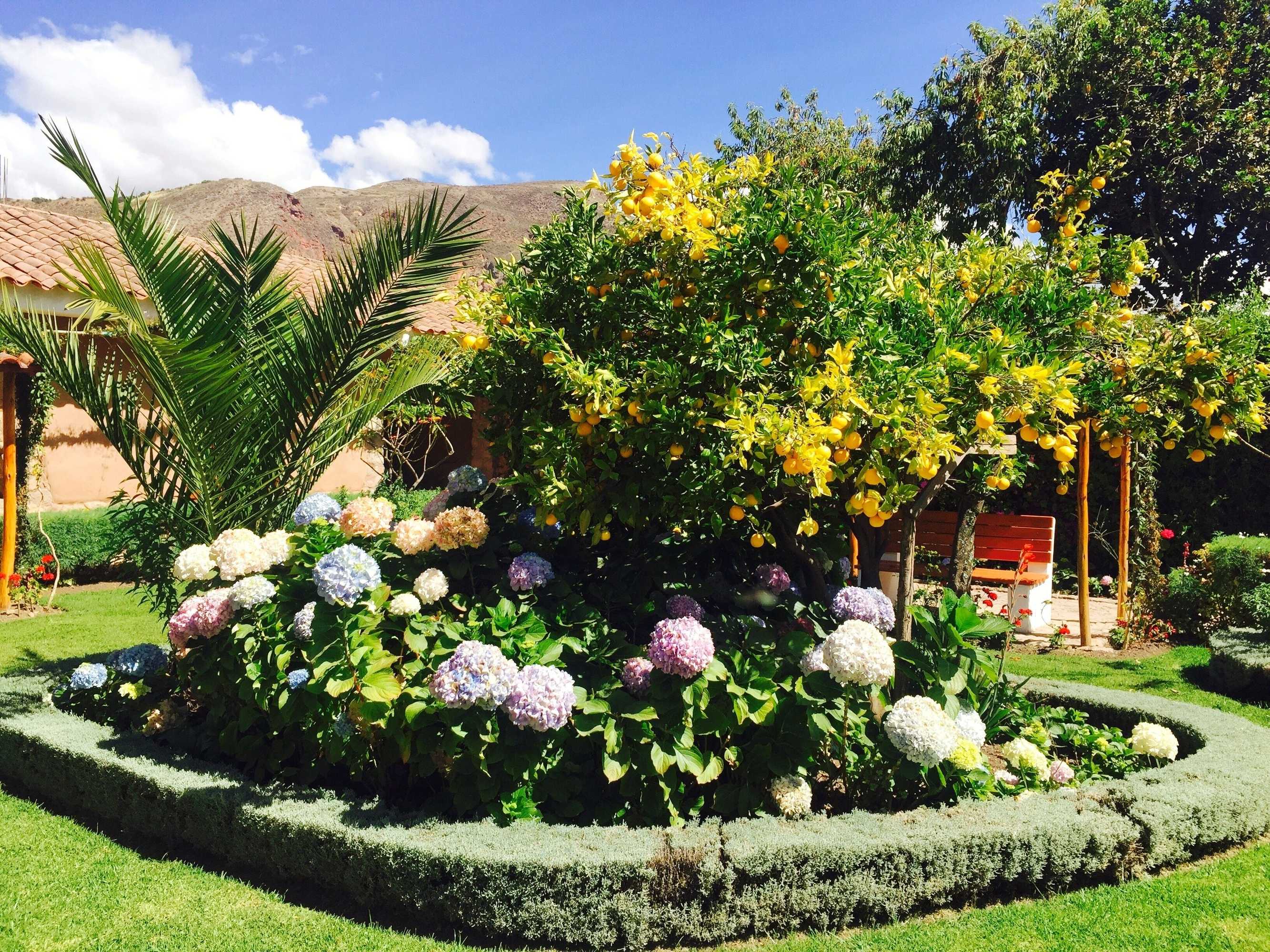 Gift card for Hotel Agustos Urubamba Gift card for Hotel Agustos Urubamba
