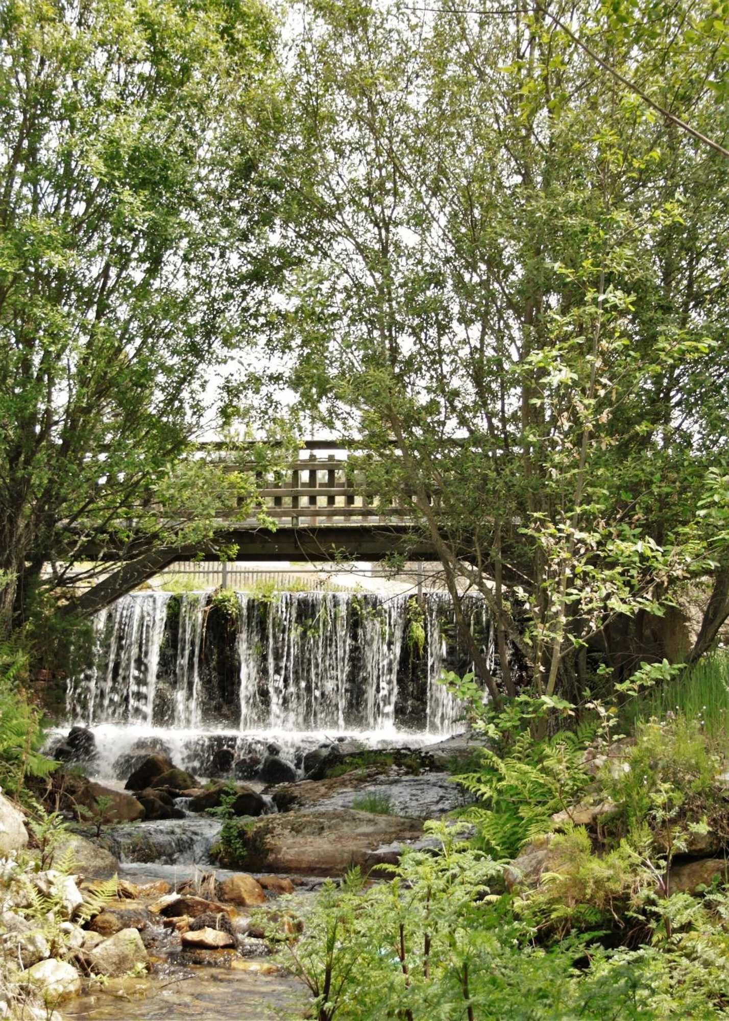 Gift card for Moinhos da Tia Antoninha