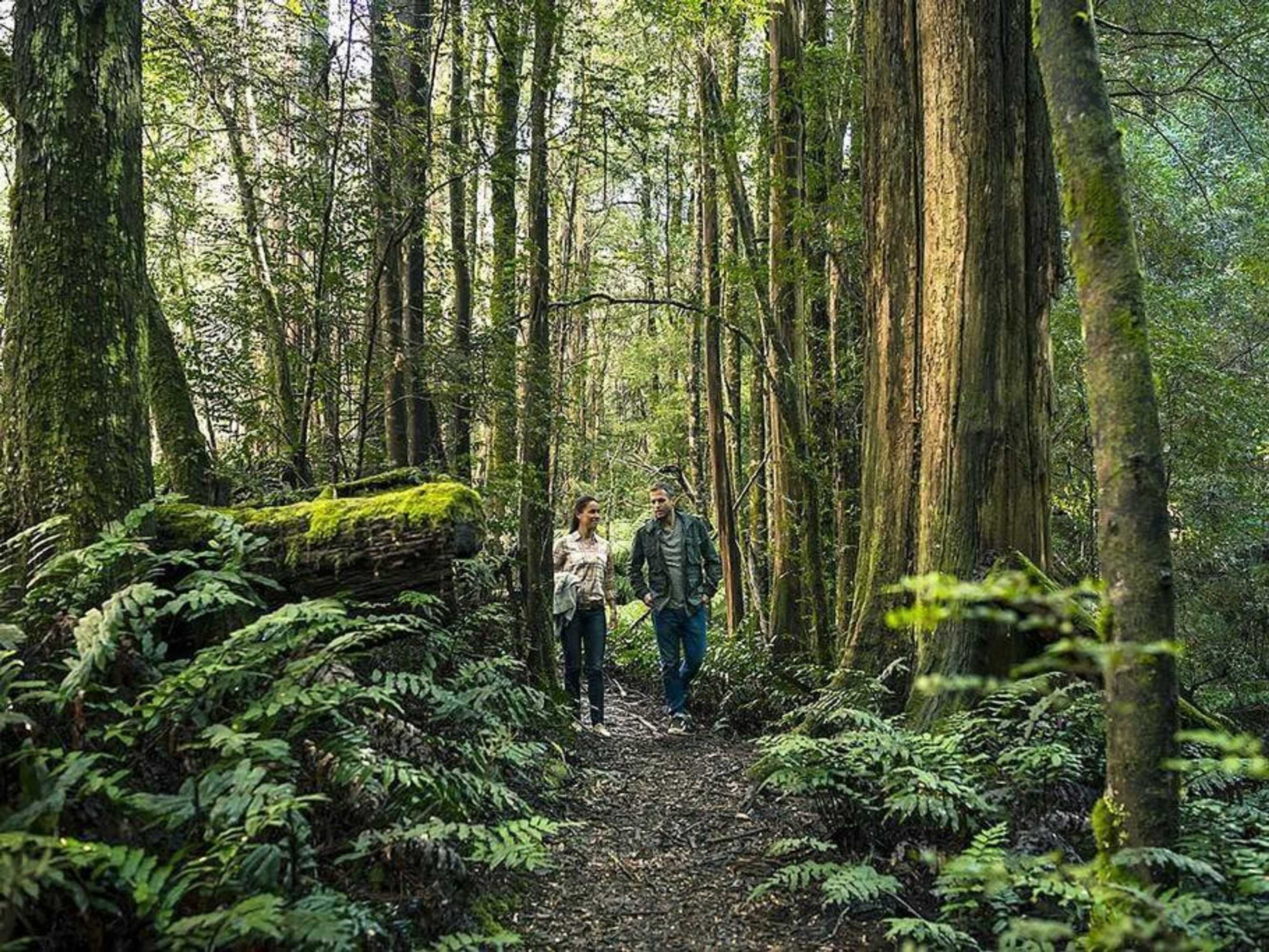 Gift card for Yarra Valley Tiny House - Tiny Stays