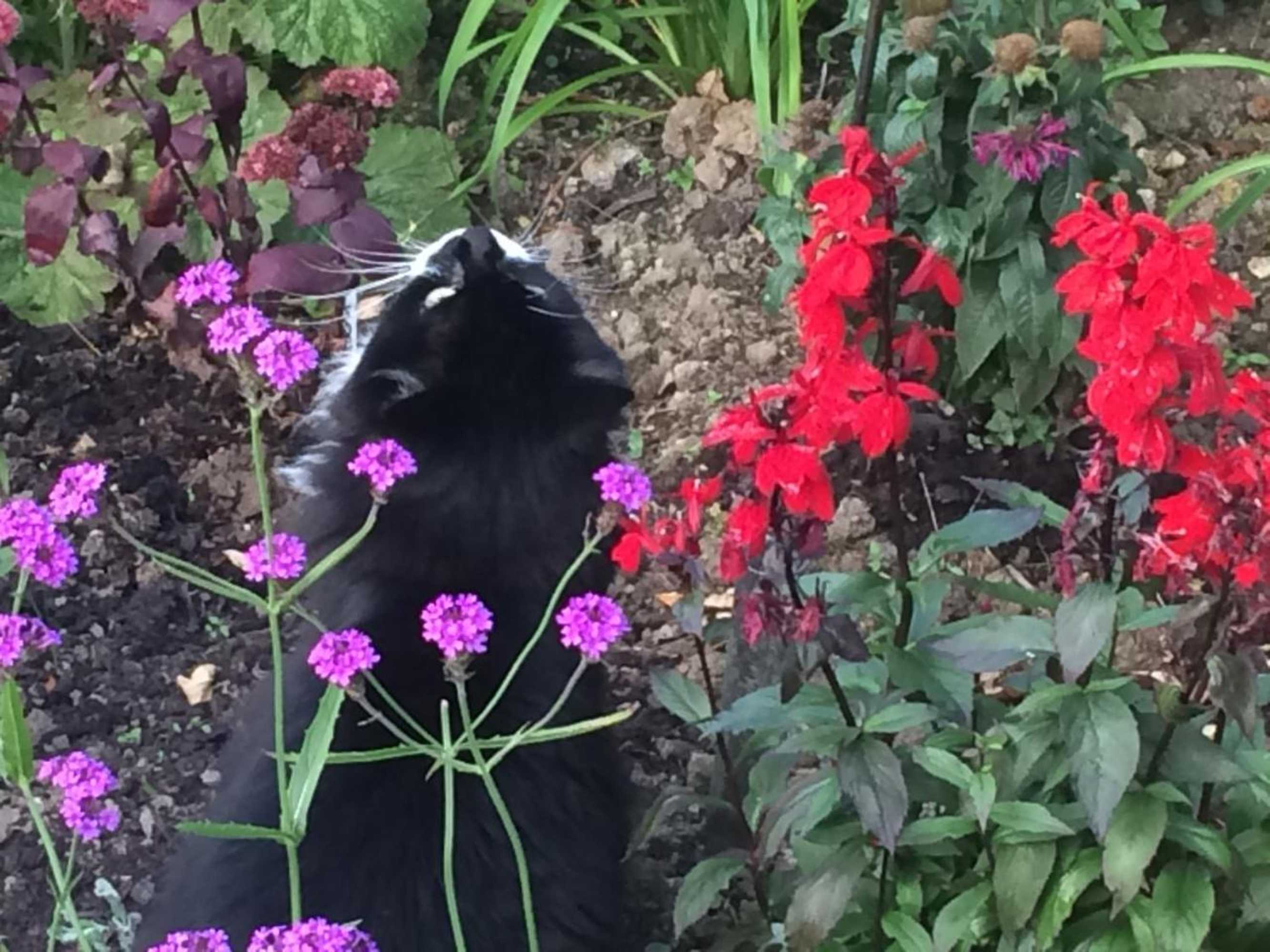 Gift card for Chez Jo B&b