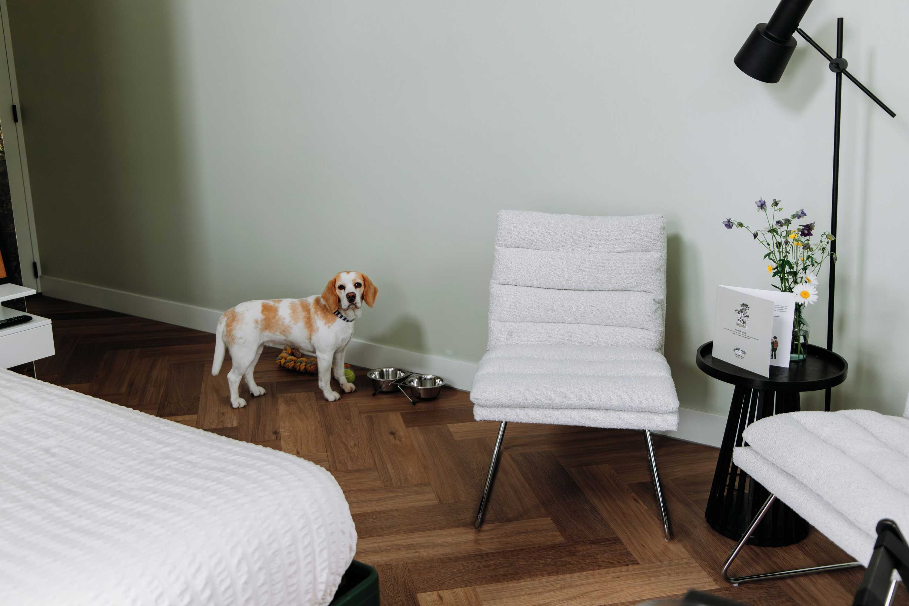 Gift card for Boutique B&b Oud Aa