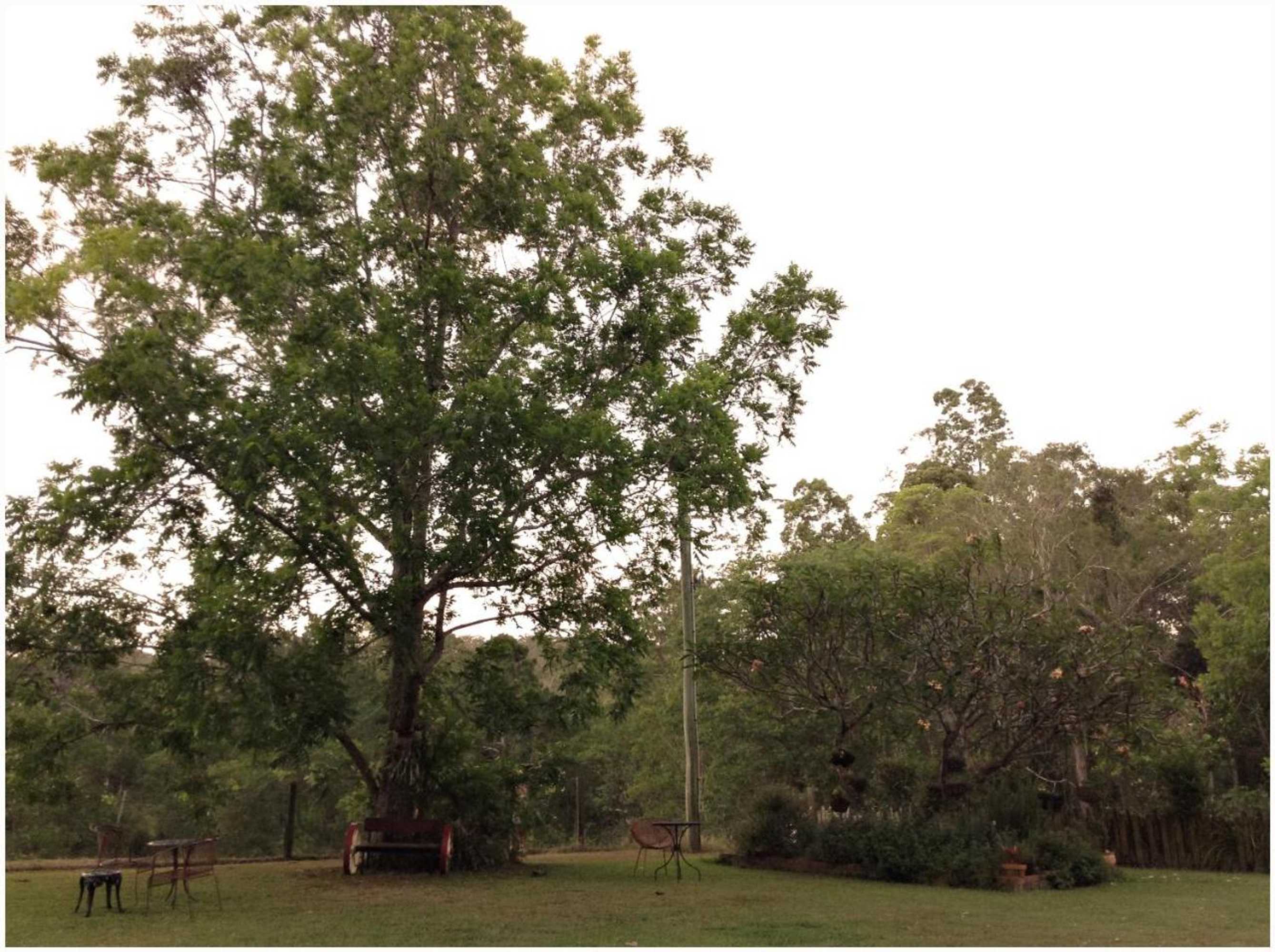 Gift card for Bielby's Hideaway