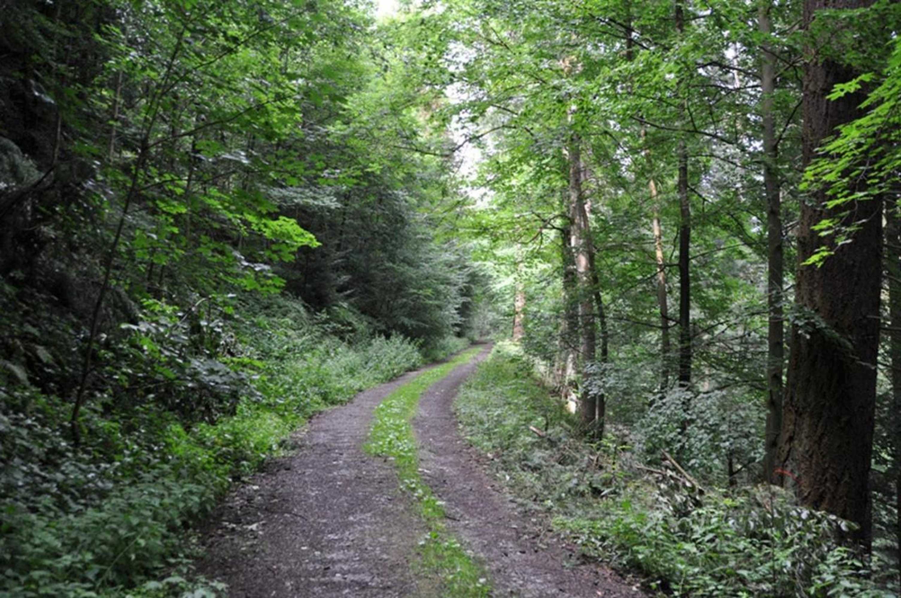 Gift card for L'italiano Vero Ristorante Pizzeria & Gasthof Vero