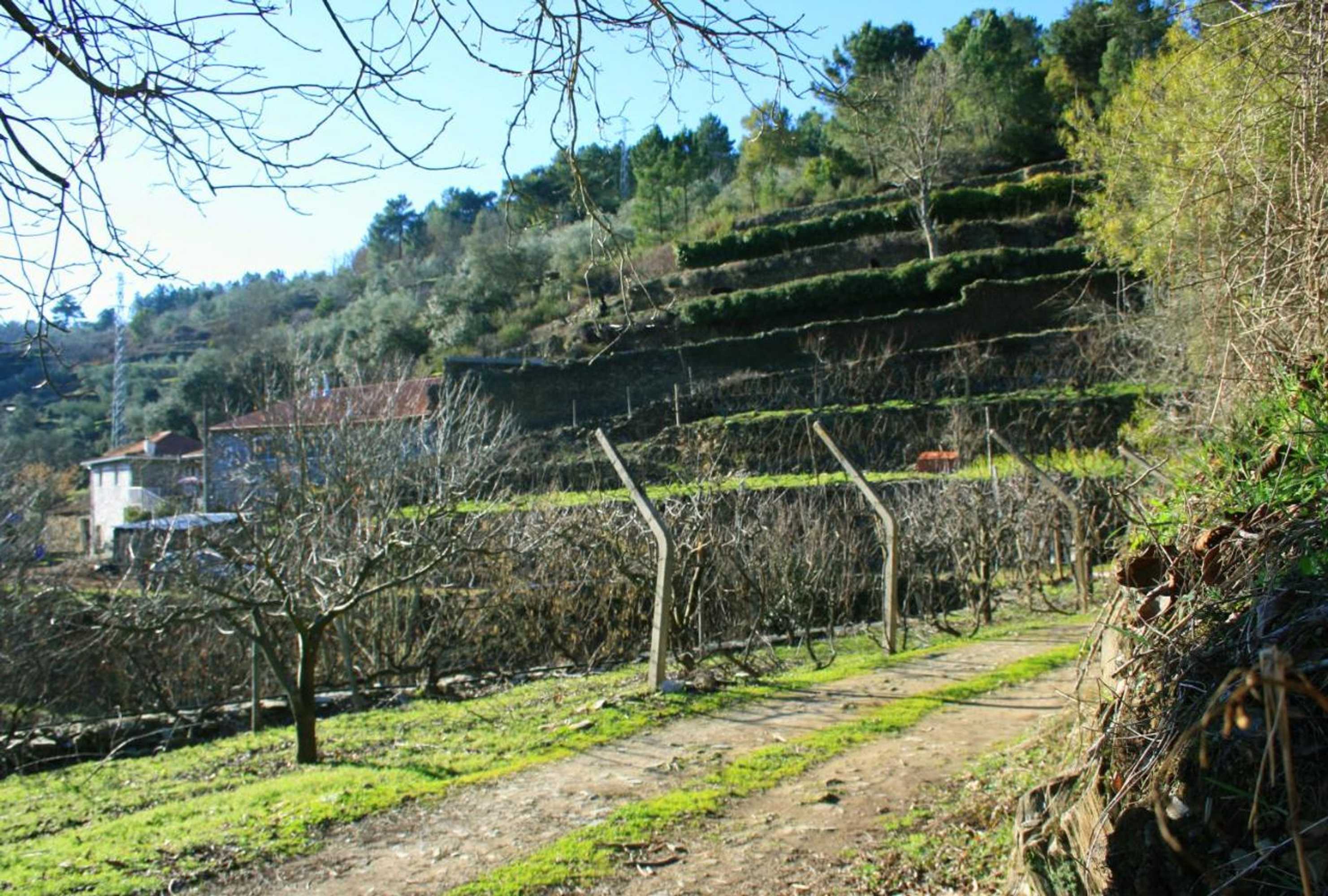 Gift card for Casa da Passagem Gift card for Casa da Passagem