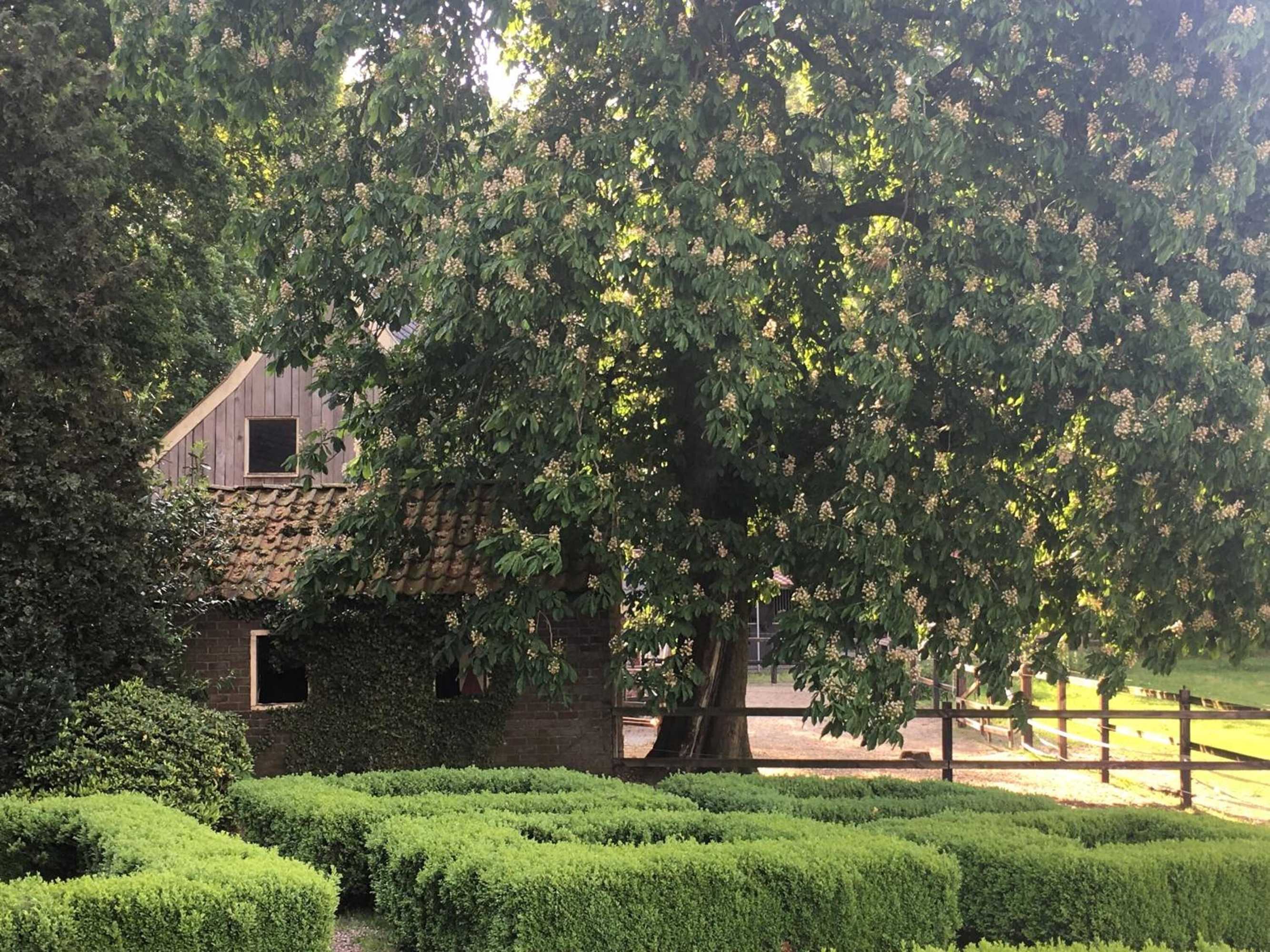 Gift card for Erve Het Roolvink