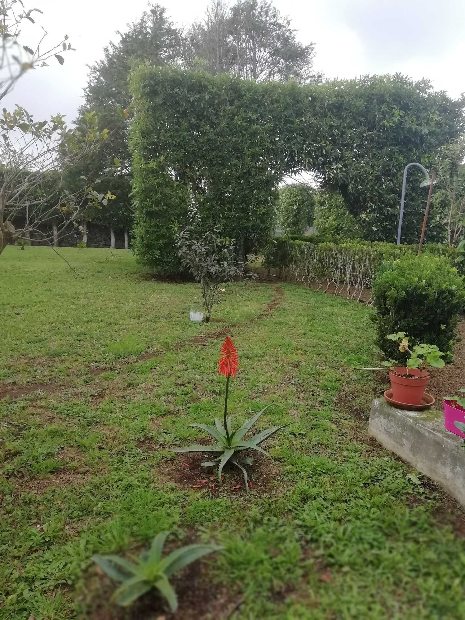 Gift card for Quinta do Paraizo