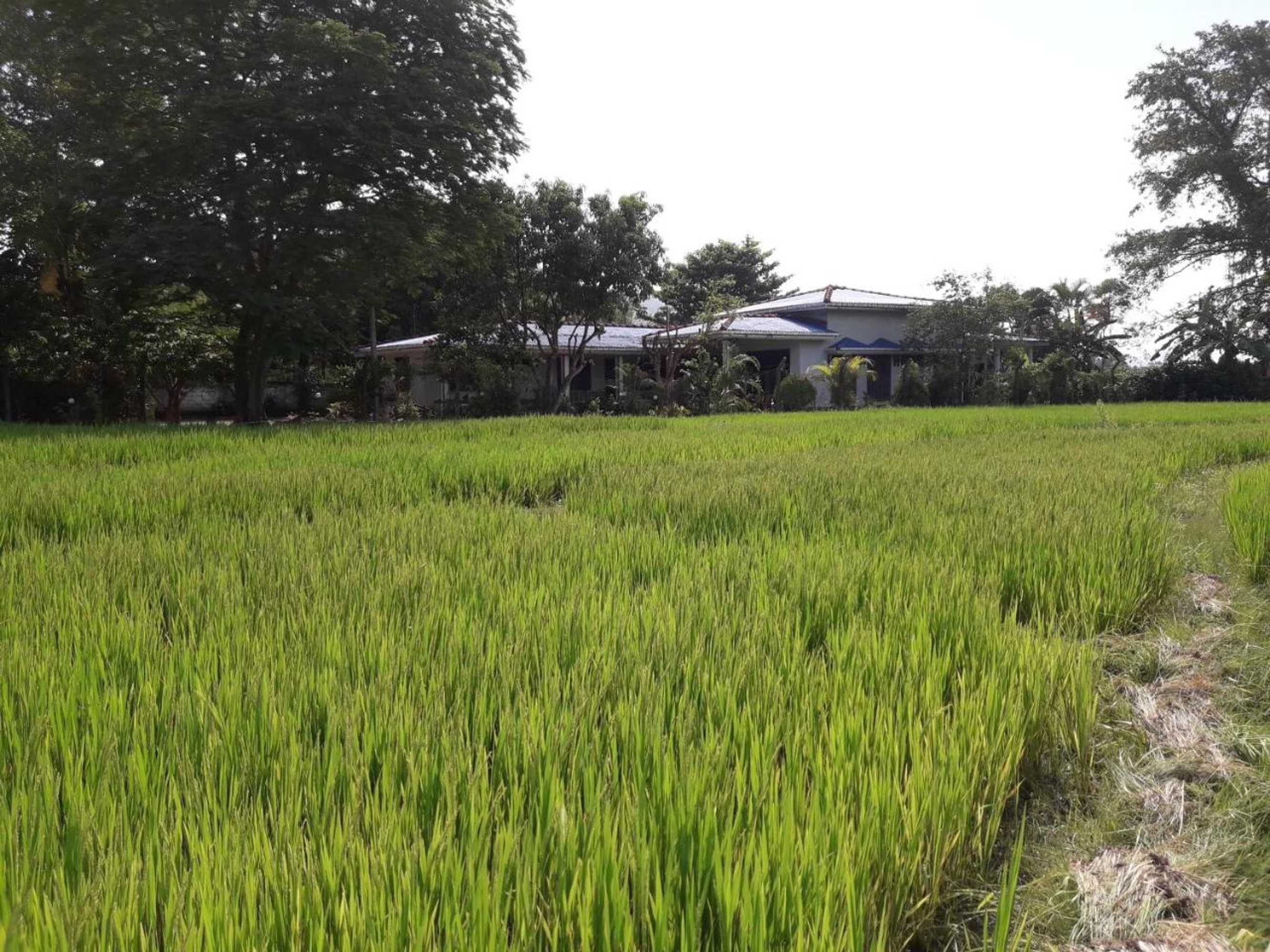 Gift card for Hansika Guest Inn