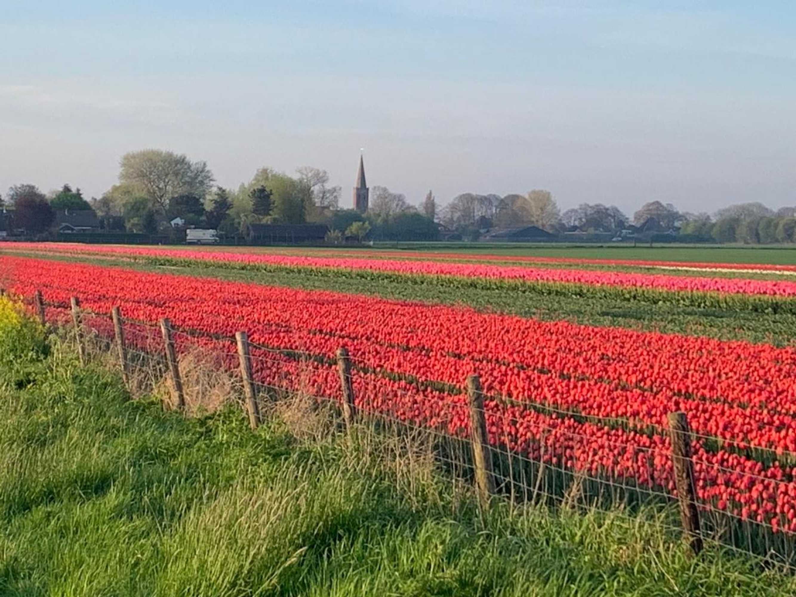 Gift card for Het Twiscker Huys