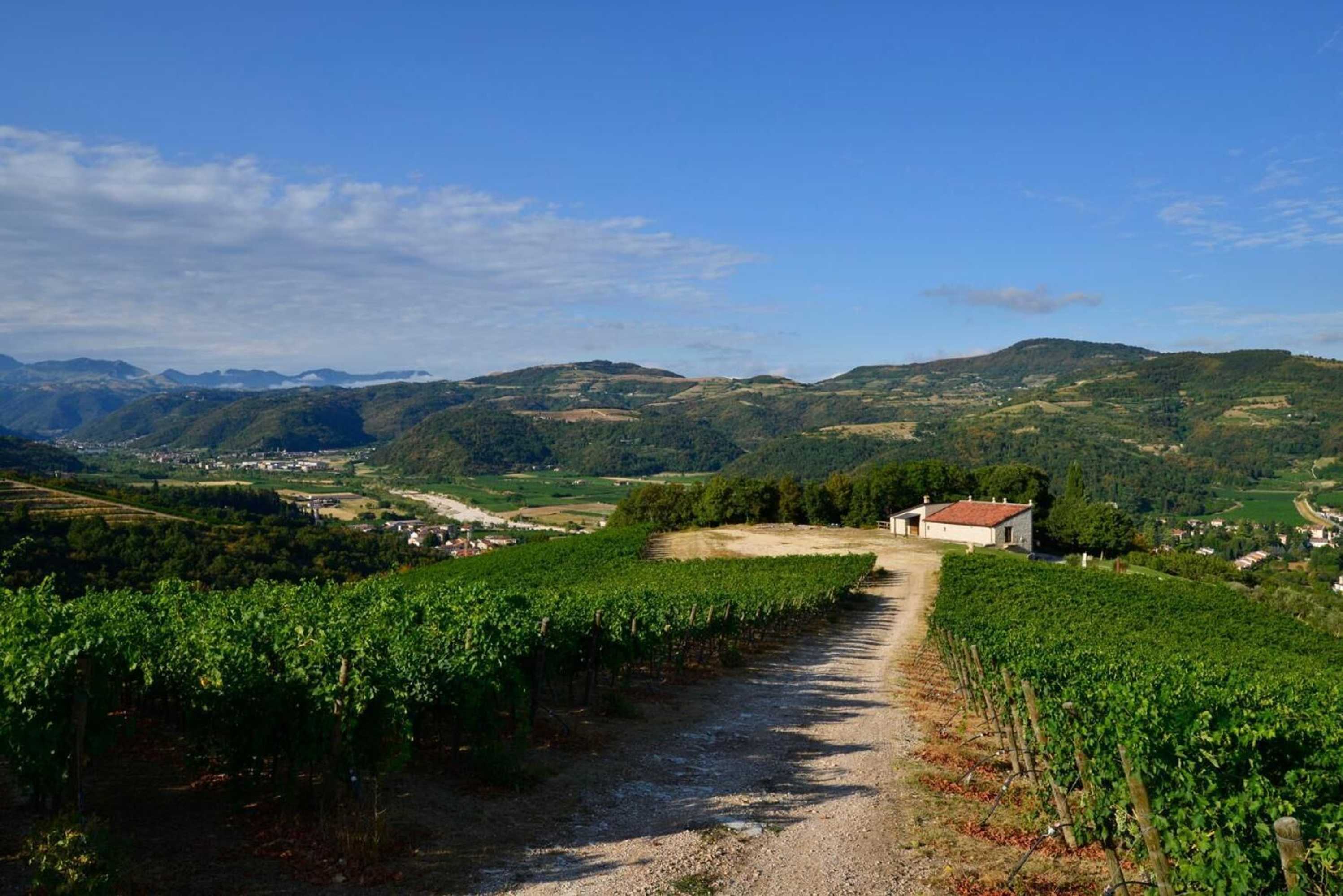 Gift card for Tenuta Le Cave Gift card for Tenuta Le Cave