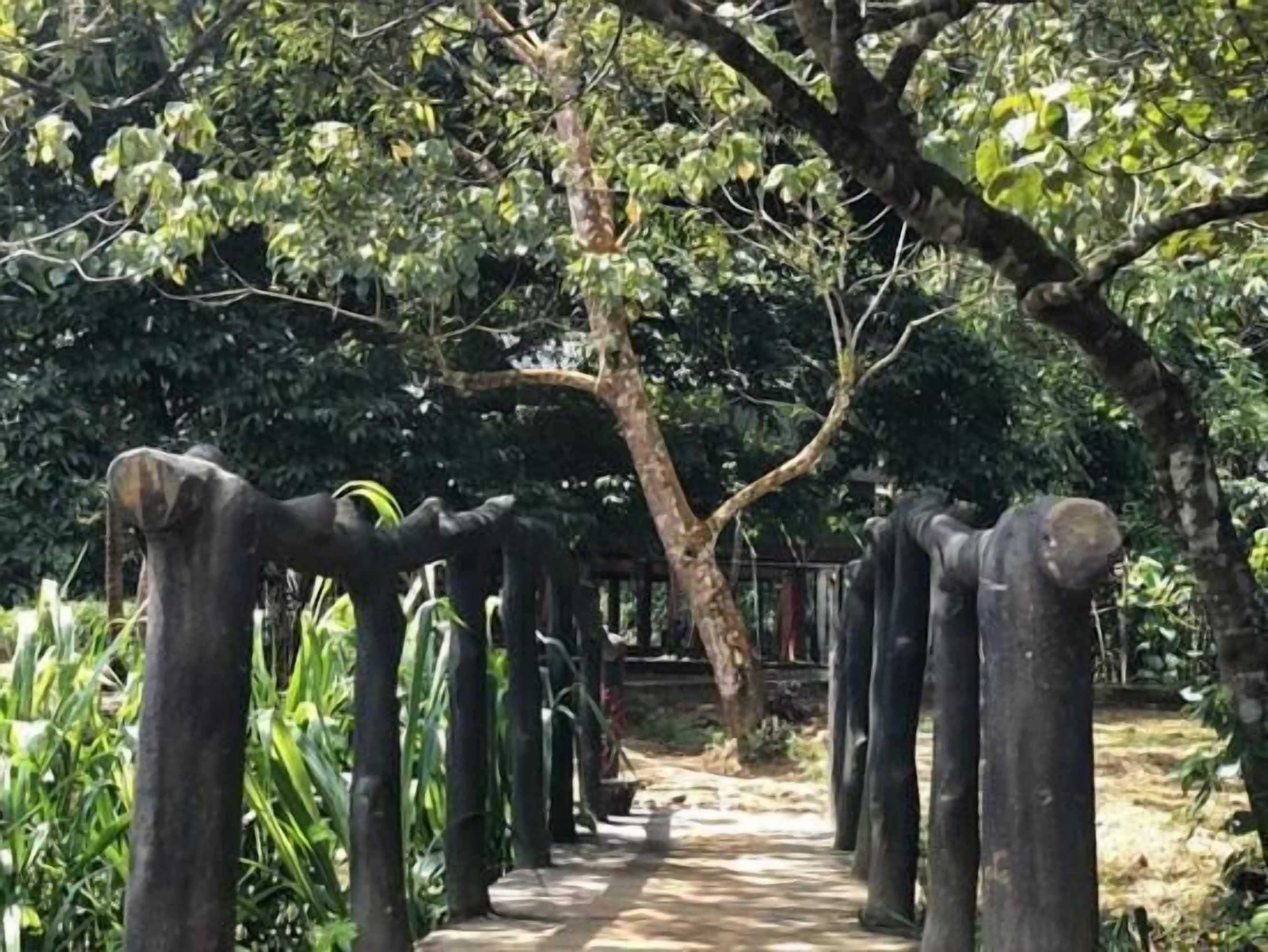 Gift card for 360 Rainforest