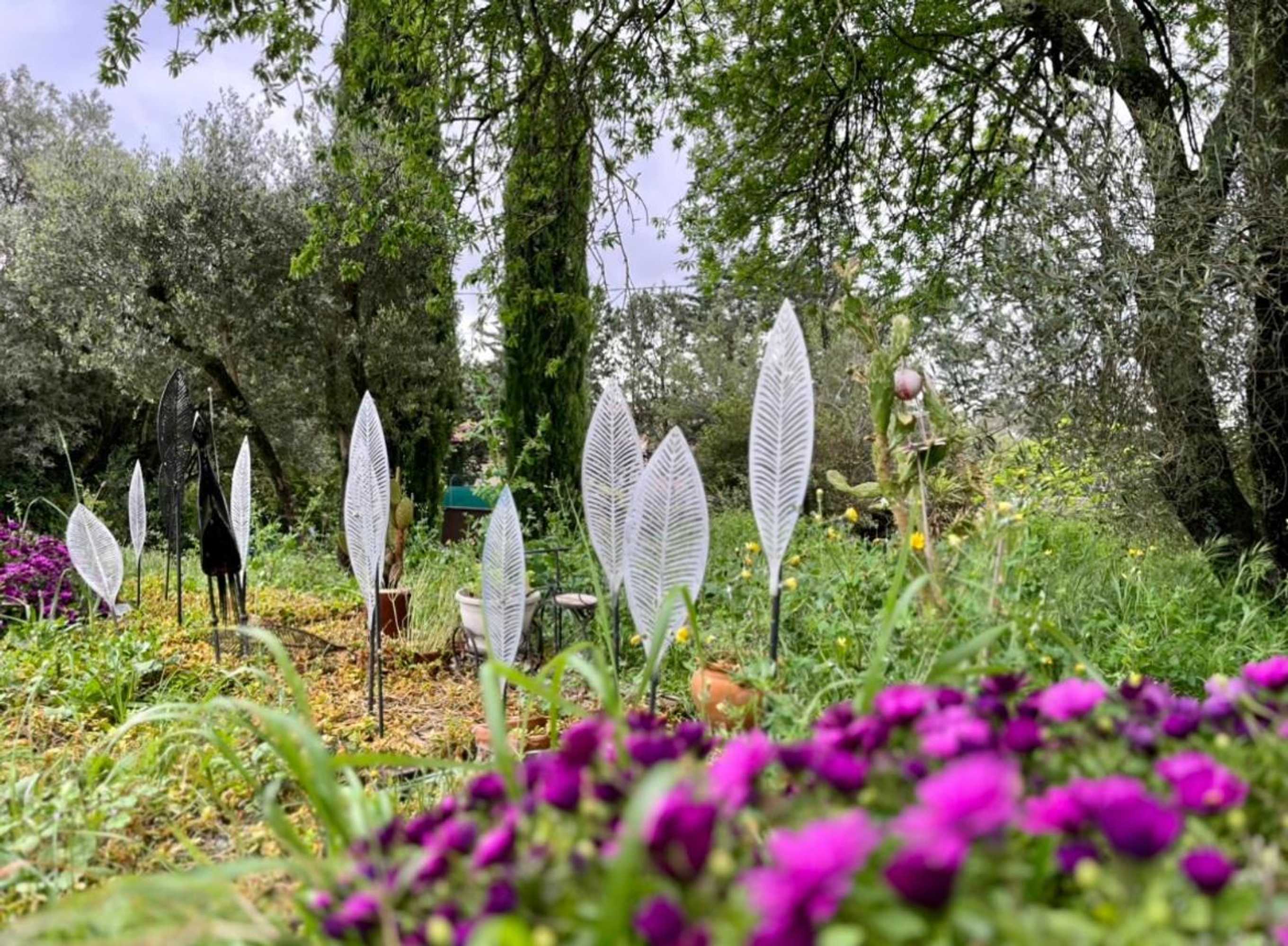 Gift card for Les Gites du Mas Des Cigales