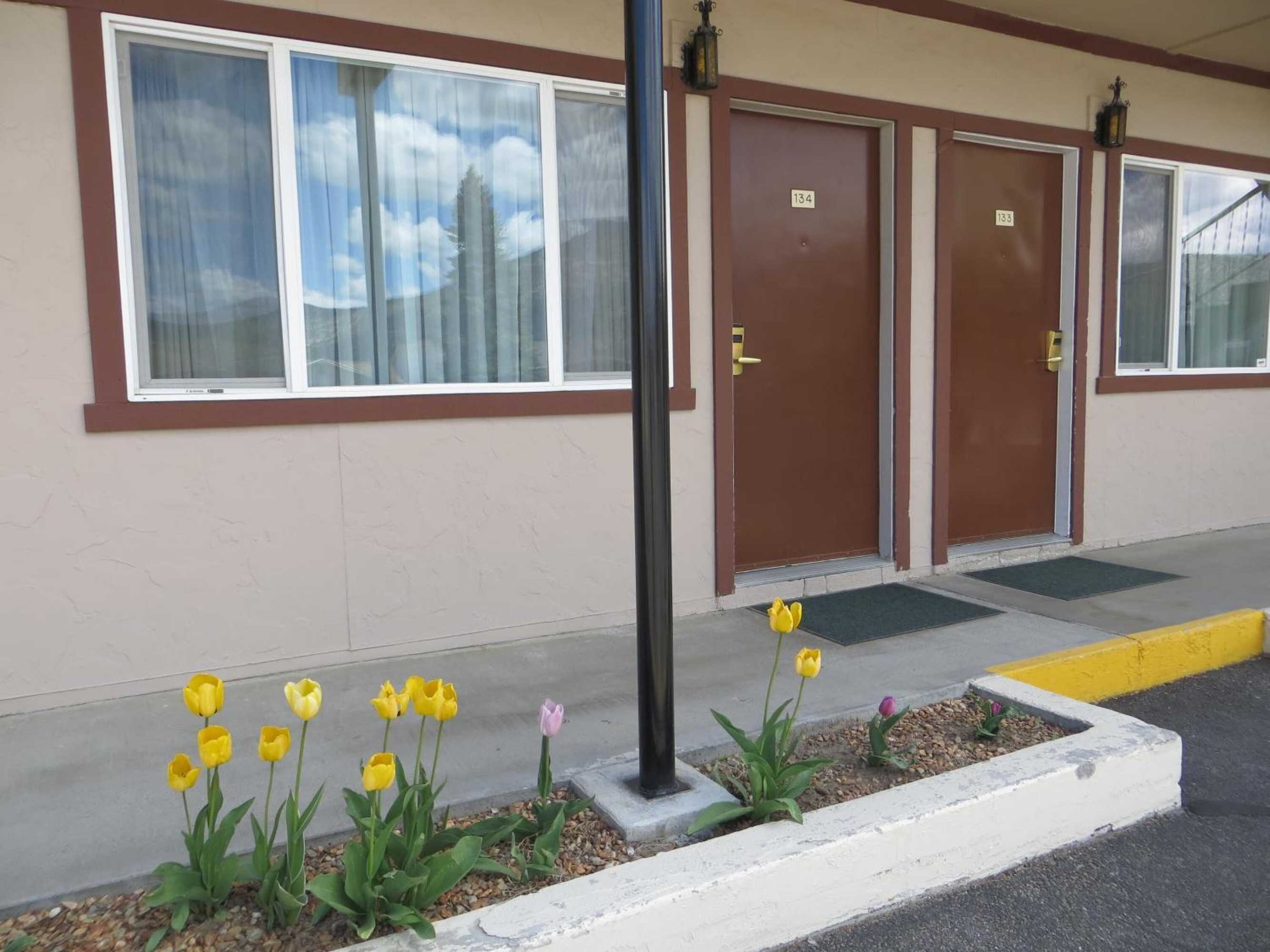 Gift card for Bristlecone Motel